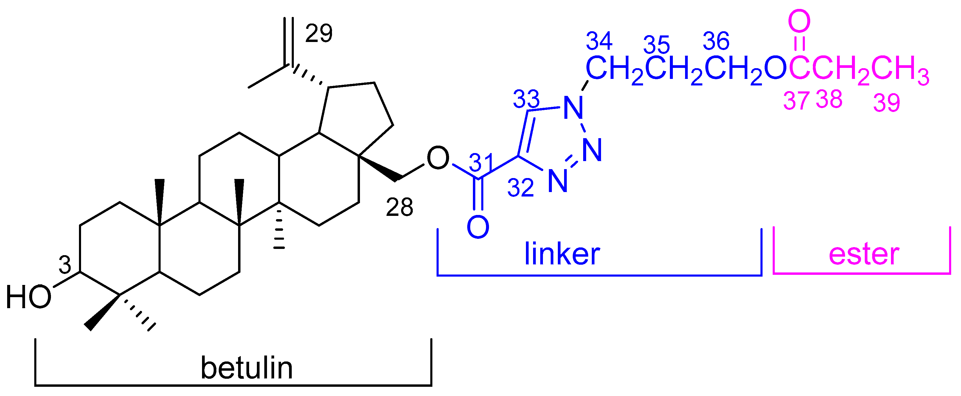 Molbank 2022 m1487 g002