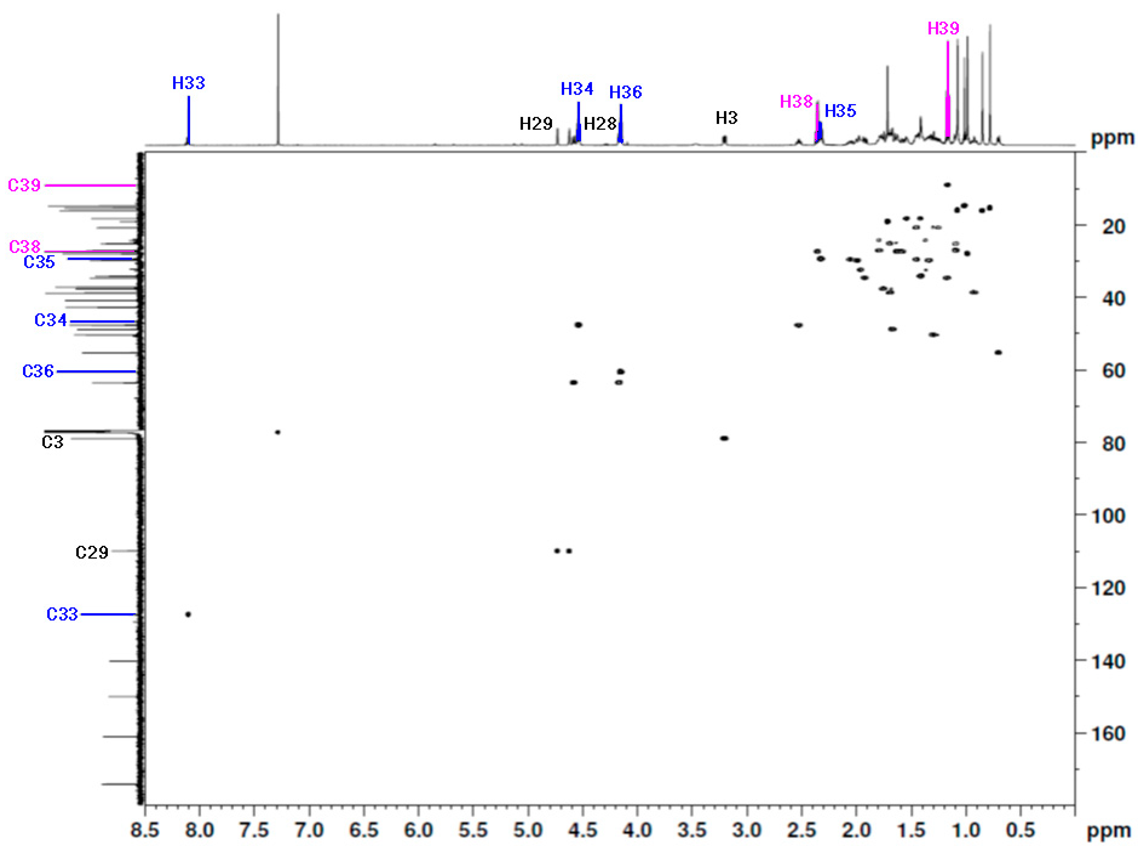 Molbank 2022 m1487 g003