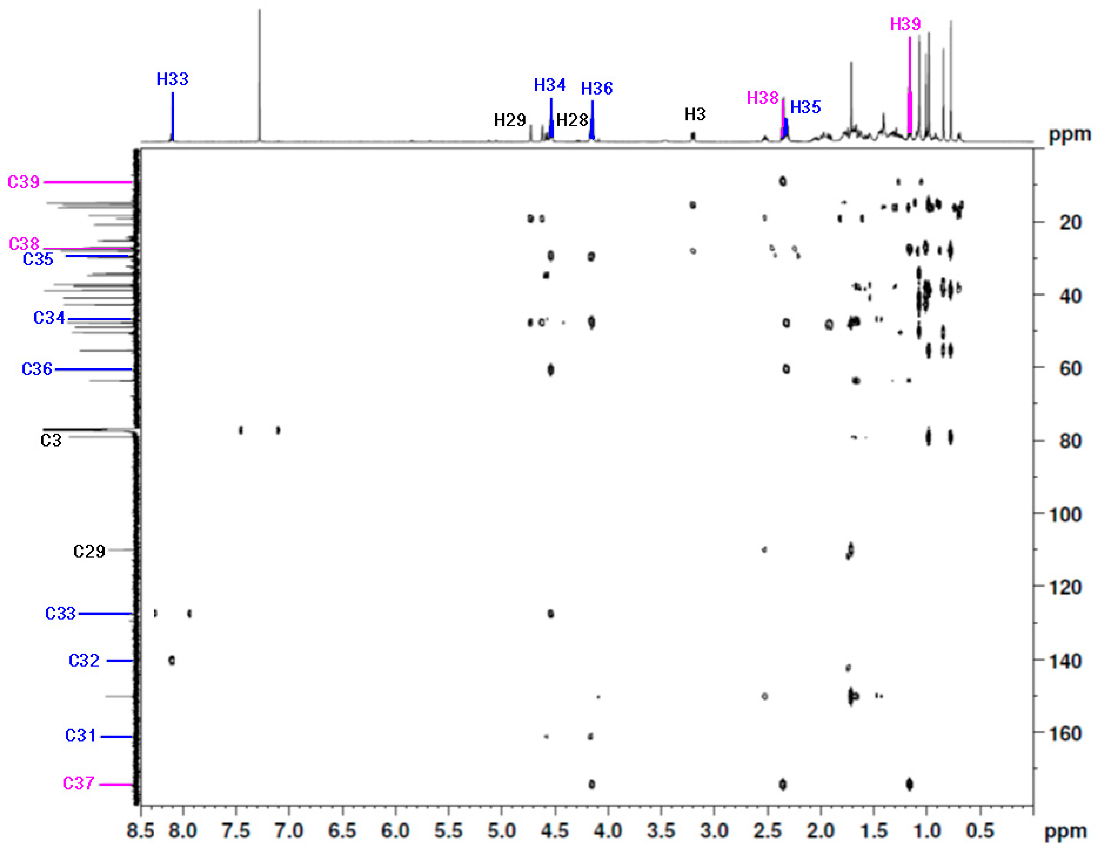 Molbank 2022 m1487 g004