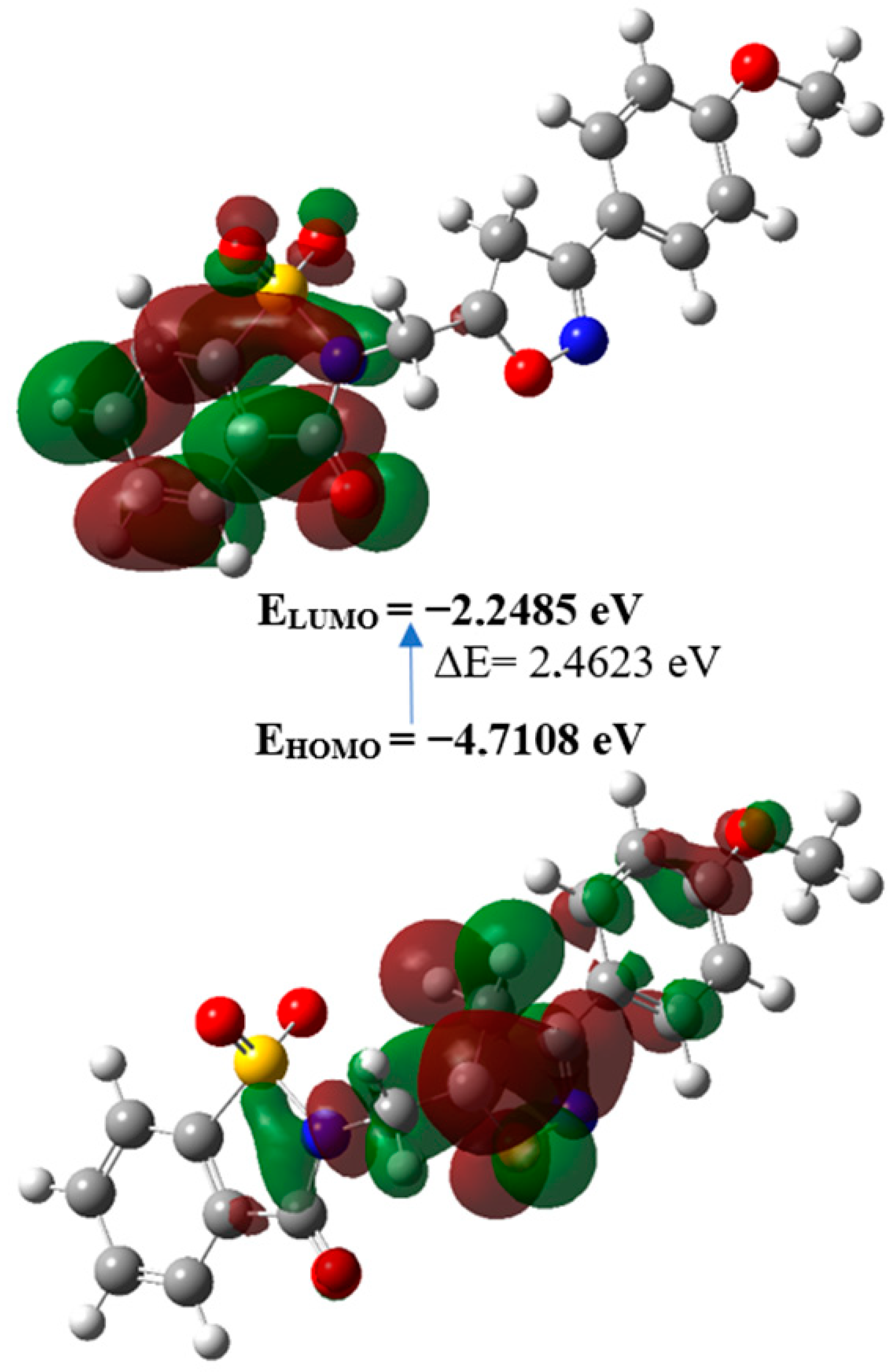 Molbank 2022 m1488 g008 Molbank 2022 m1488 g008