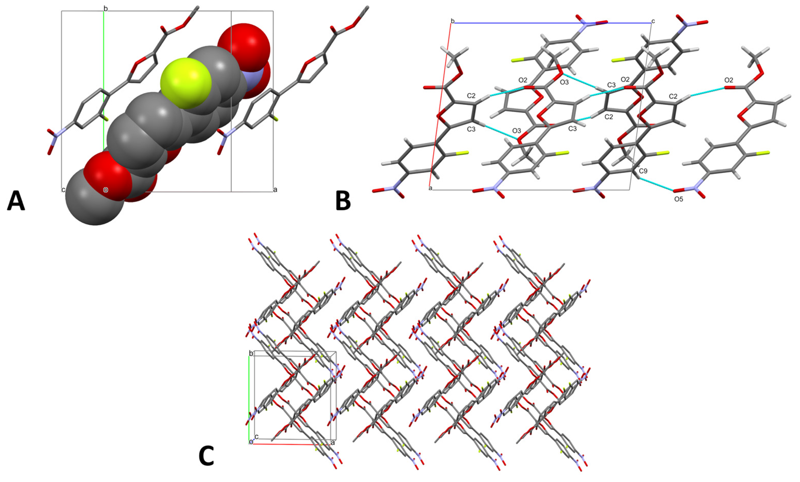 Molbank 2022 m1492 g002 Molbank 2022 m1492 g002