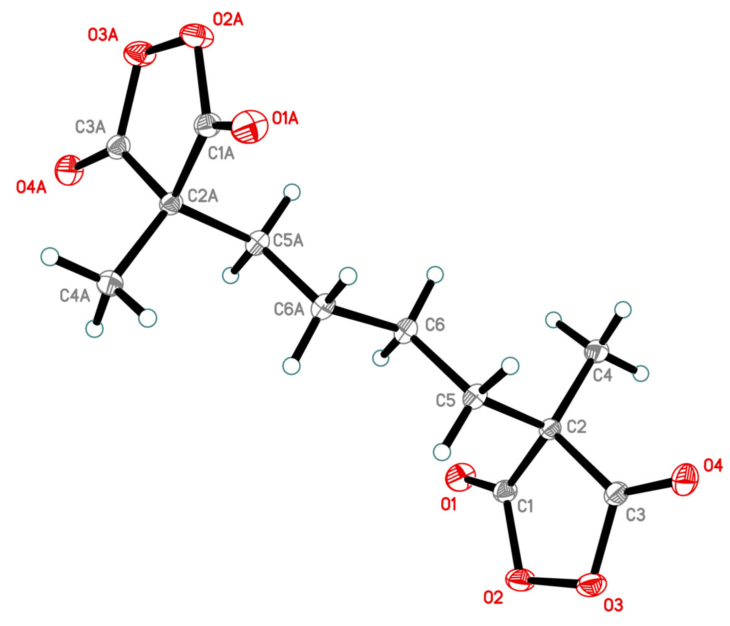 Molbank 2022 m1497 g001
