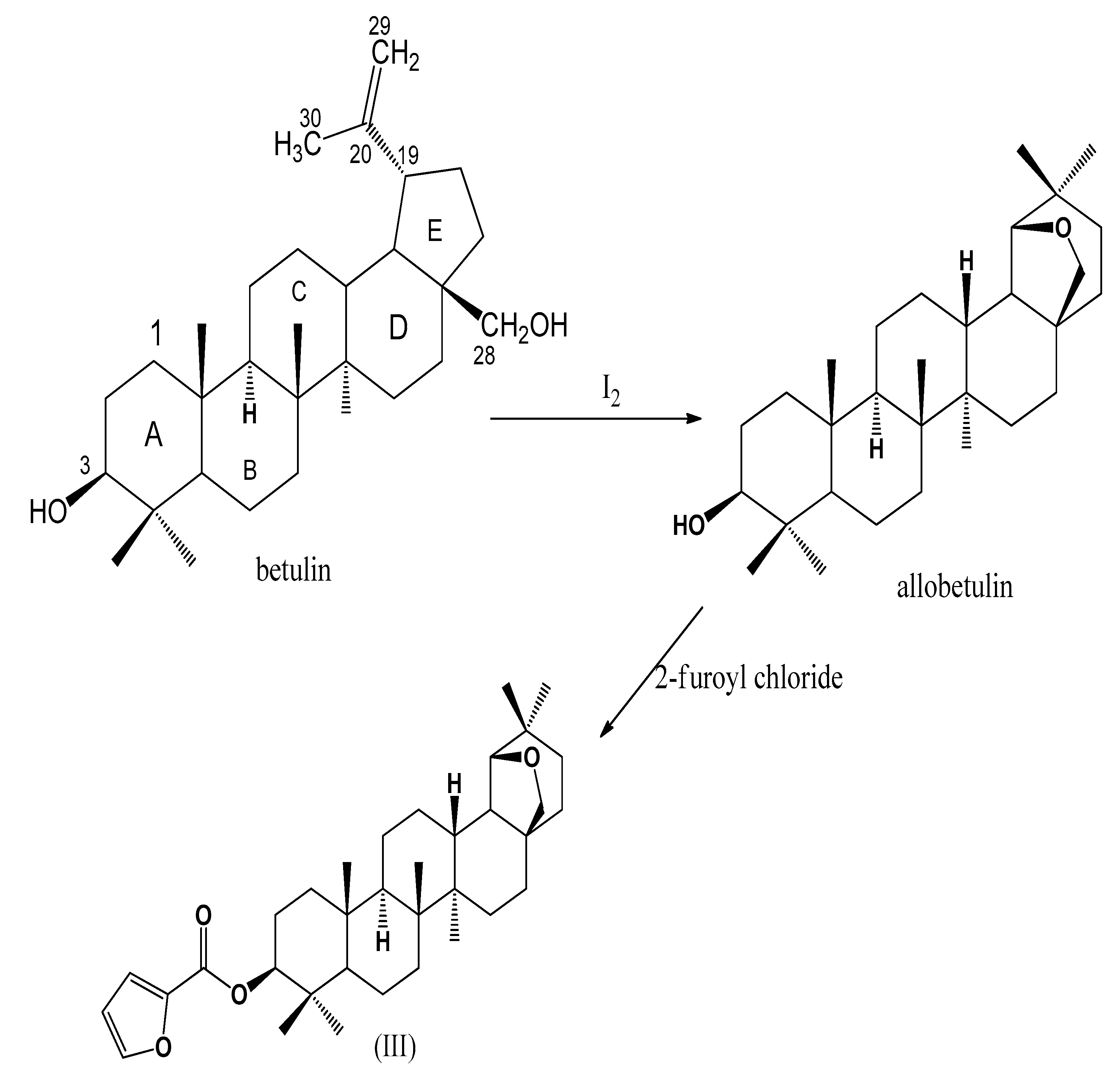 Molbank 2022 m1499 sch001