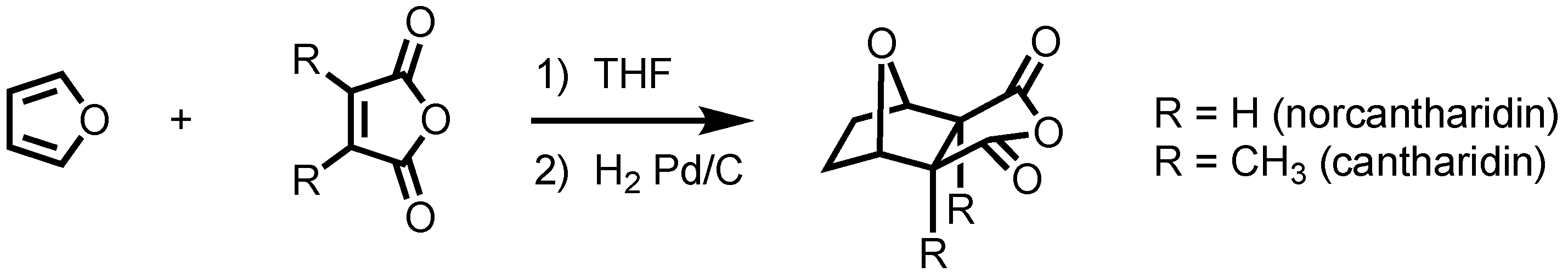 Molbank 2022 m1510 sch001 Molbank 2022 m1510 sch001