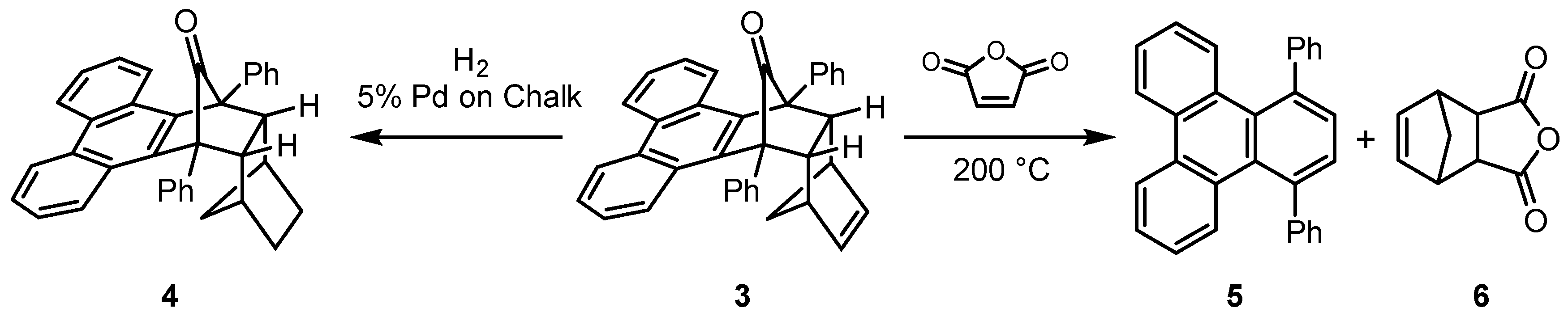 Molbank 2022 m1524 sch002
