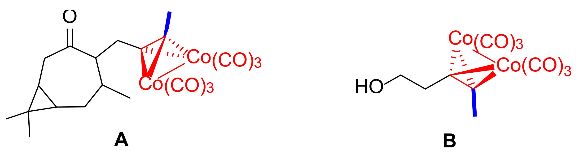 Molbank 2023 m1545 g005