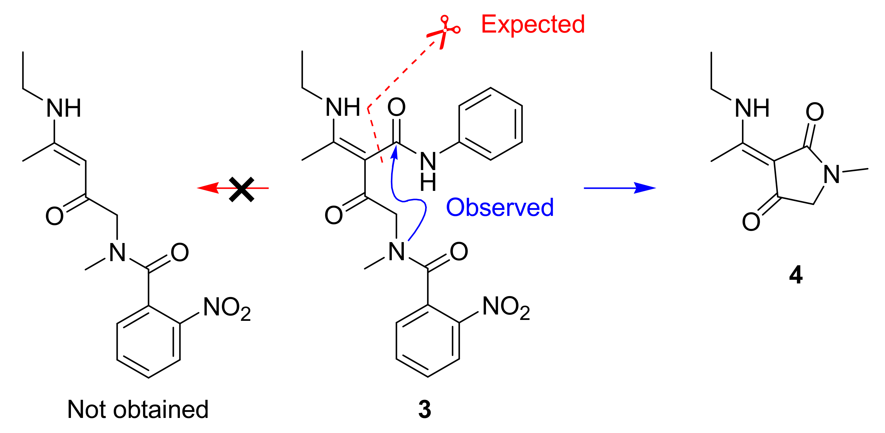 Molbank 2023 m1556 sch002 Molbank 2023 m1556 sch002