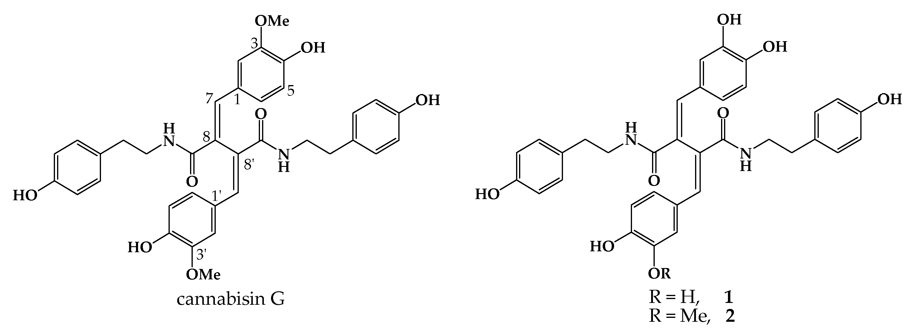 Molbank 2023 m1558 g001