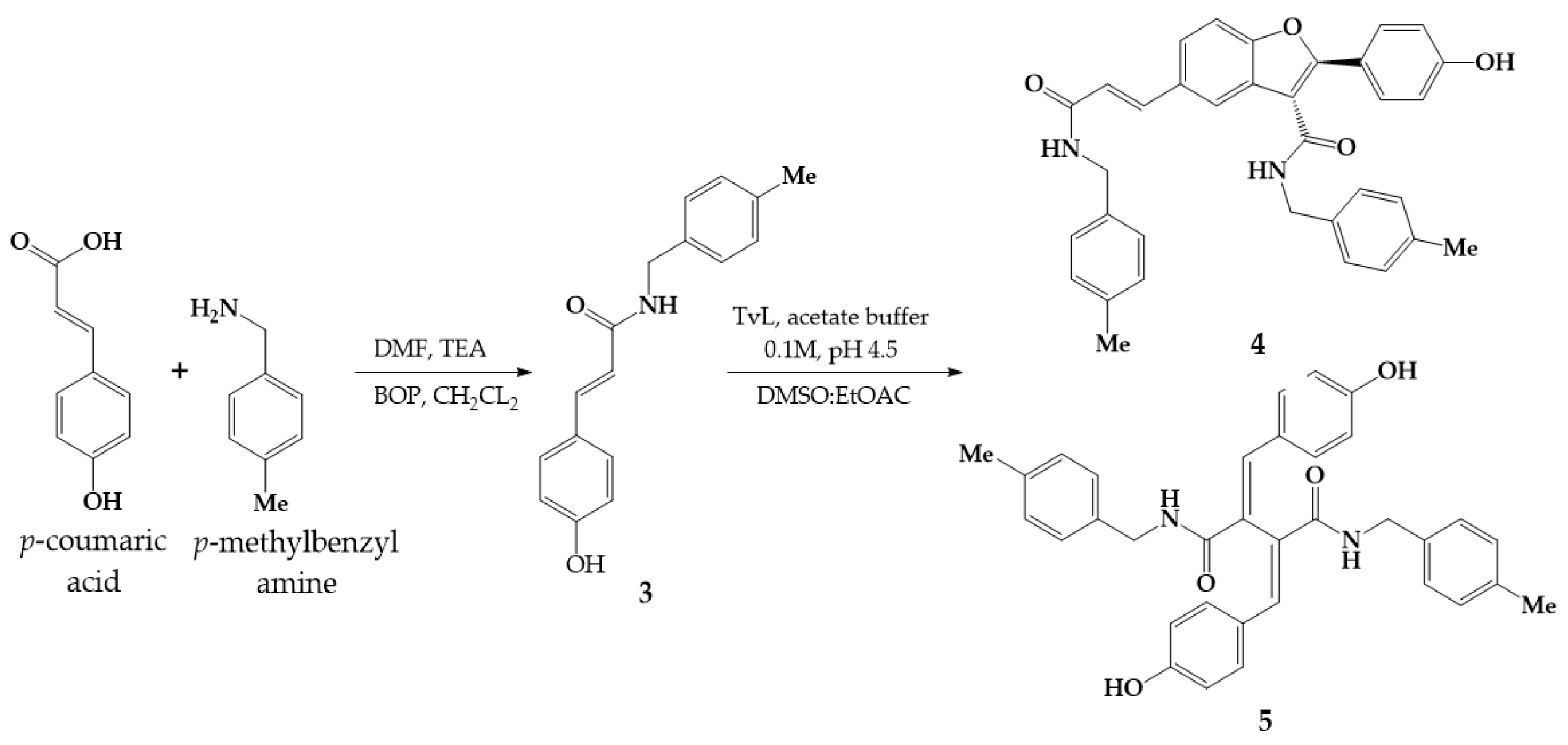 Molbank 2023 m1558 sch001