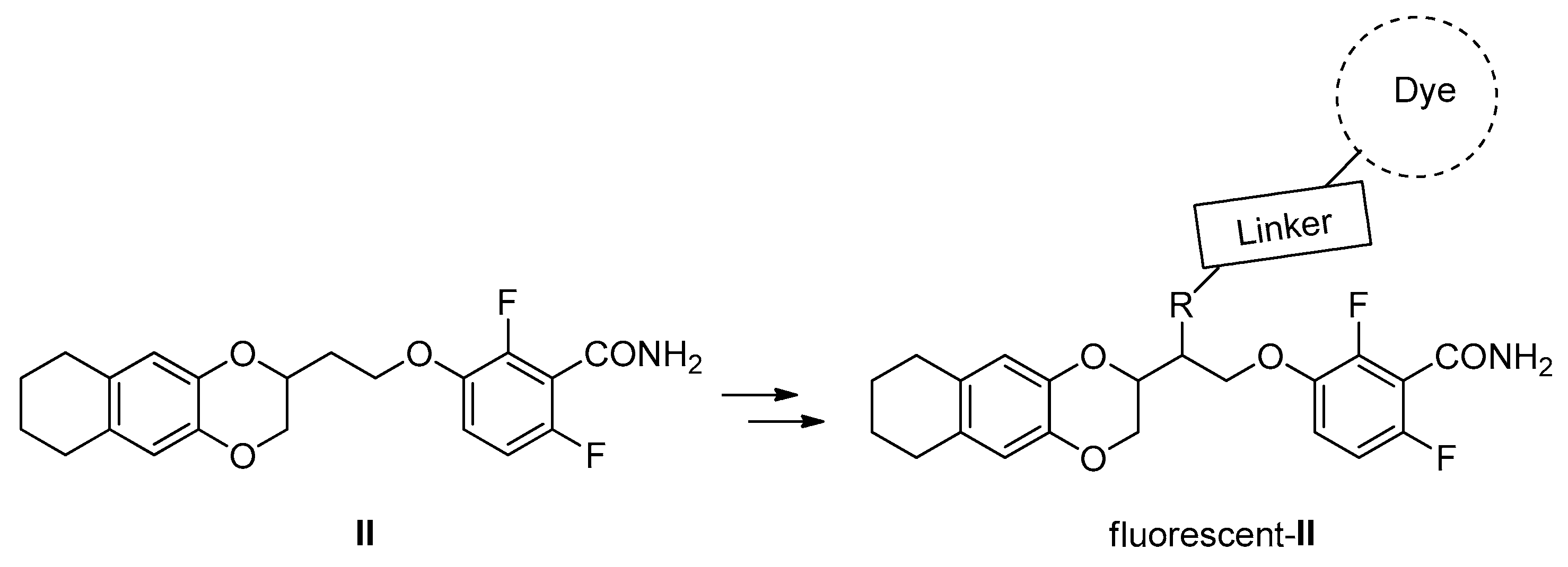 Molbank 2023 m1559 g002 Molbank 2023 m1559 g002
