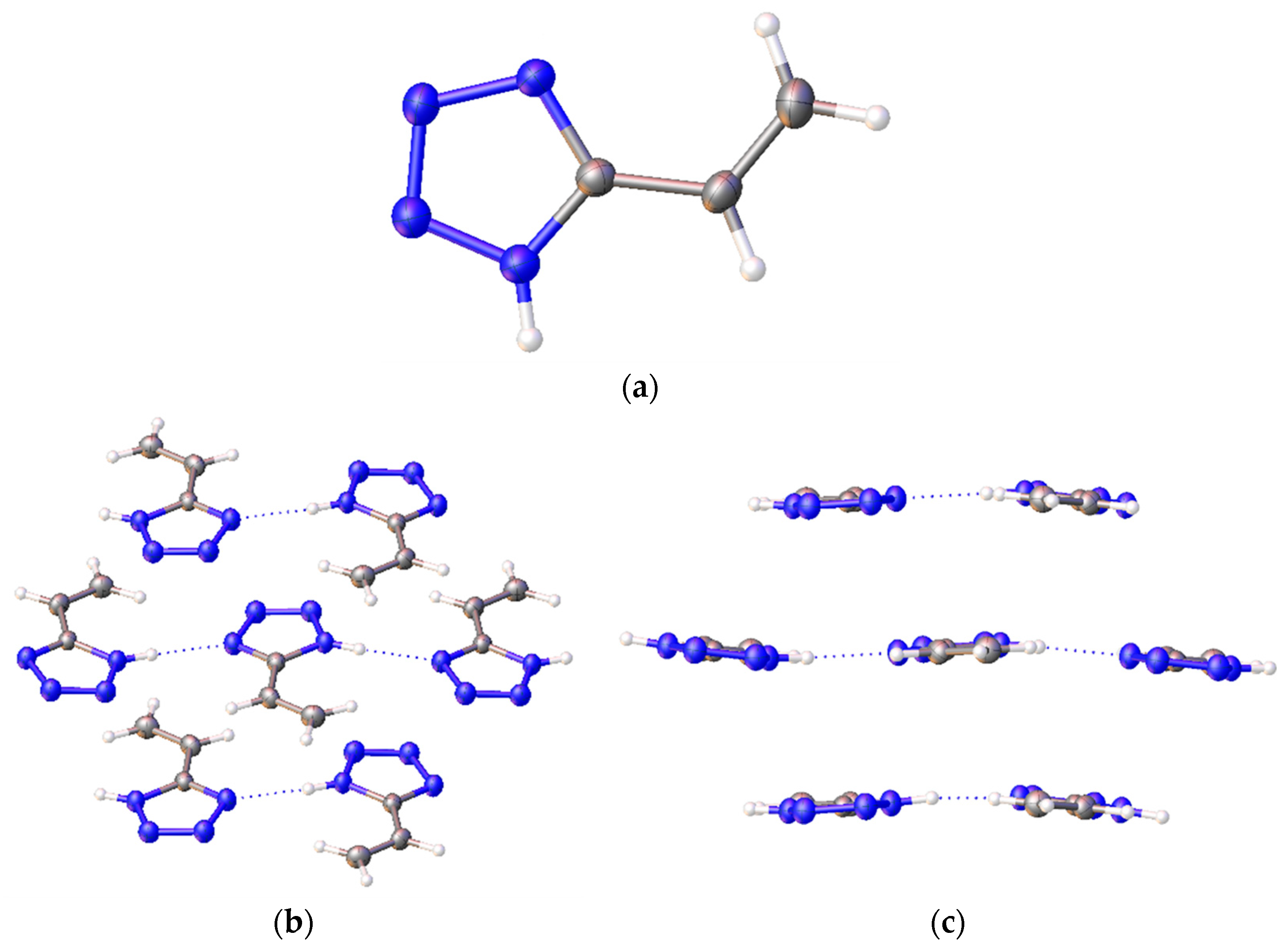 Molbank 2023 m1565 g003