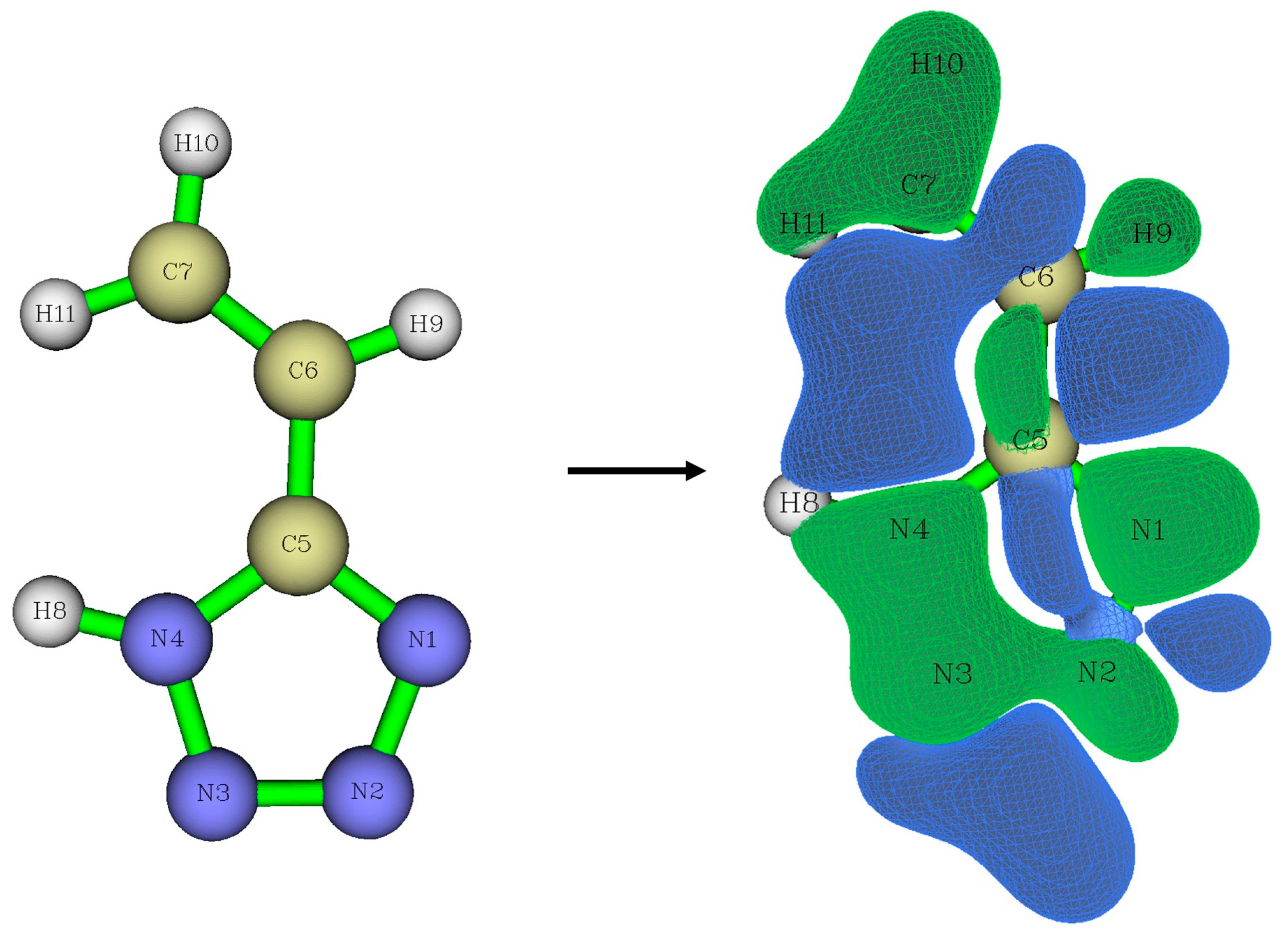 Molbank 2023 m1565 g009
