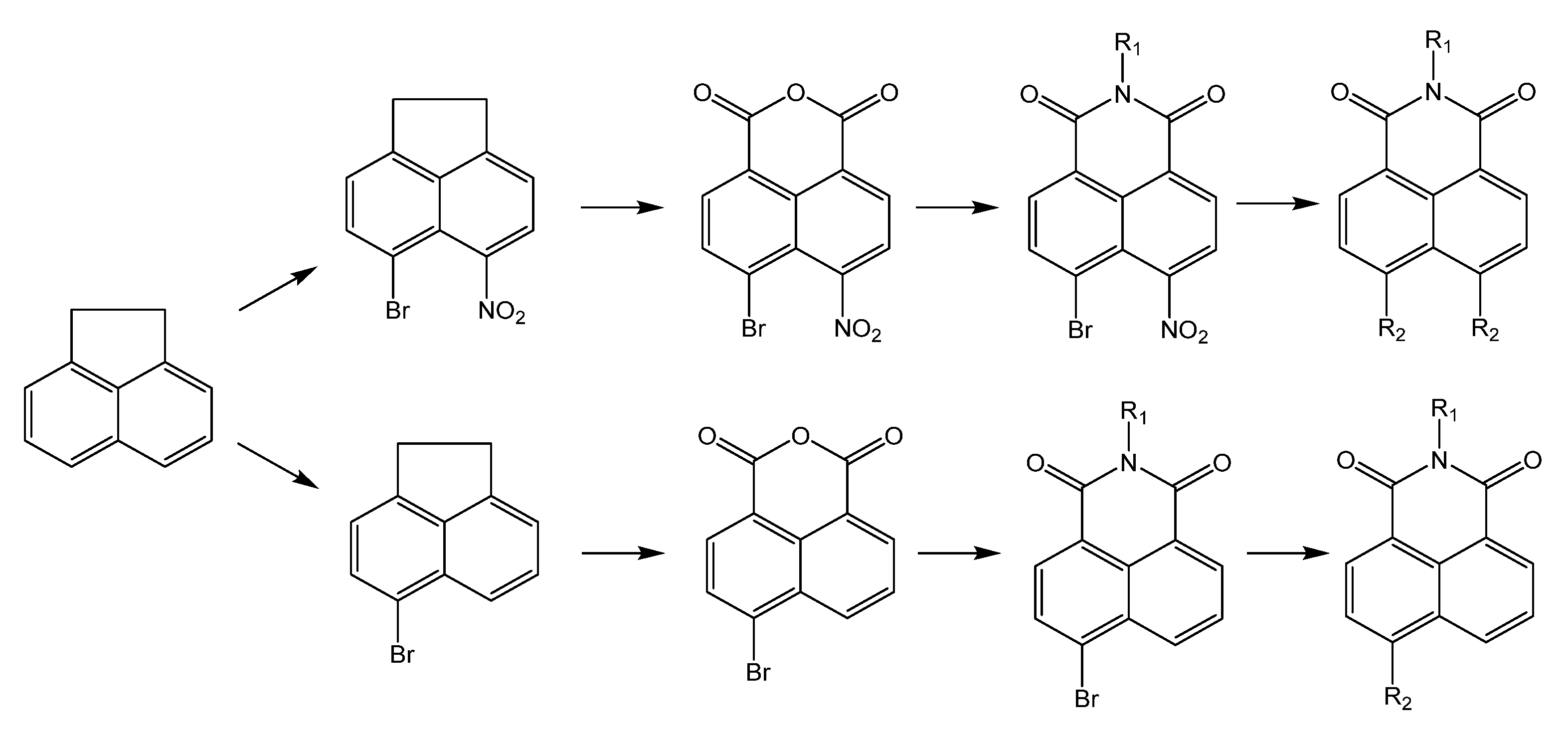 Molbank 2023 m1568 sch001 Molbank 2023 m1568 sch001