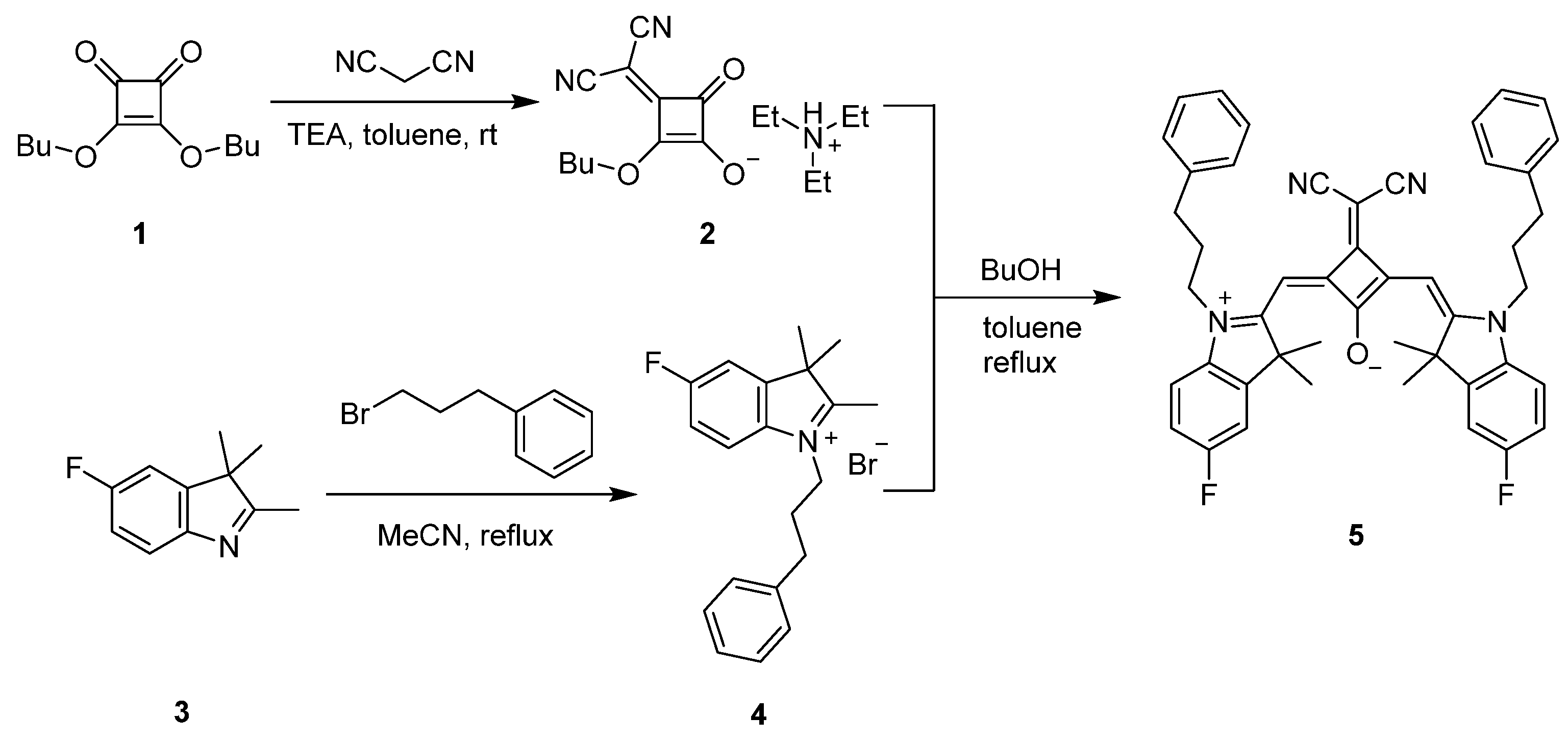 Molbank 2023 m1576 sch001 550