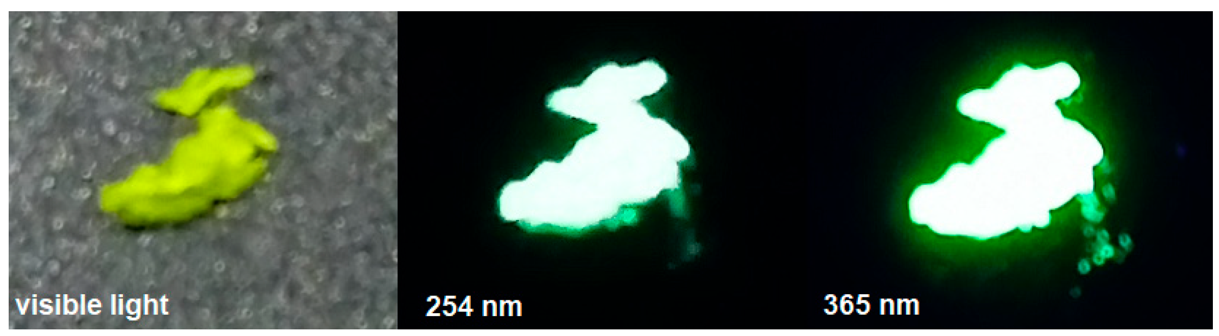 Molbank 2023 m1583 g002 Molbank 2023 m1583 g002