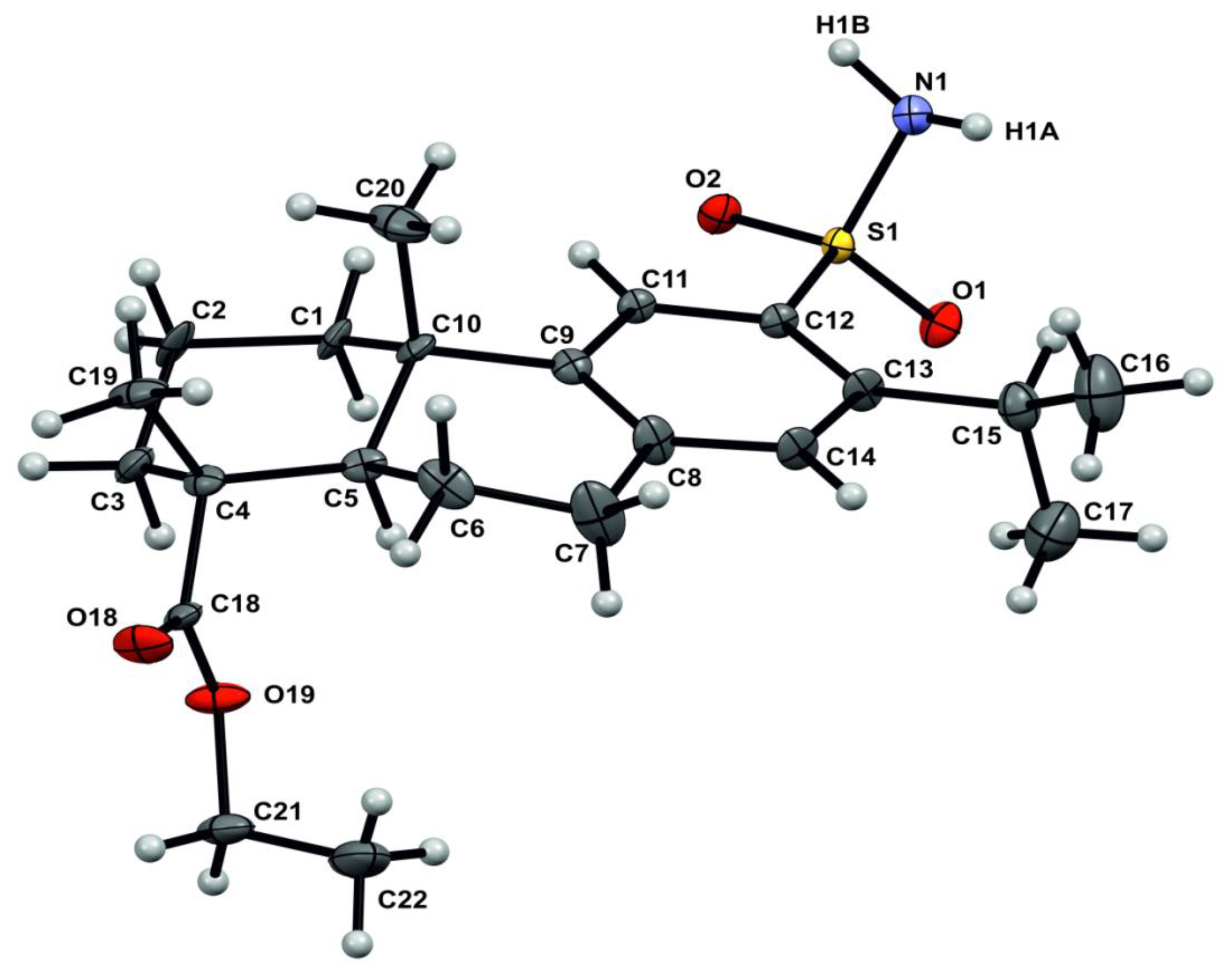 Molbank 2023 m1584 g002 Molbank 2023 m1584 g002