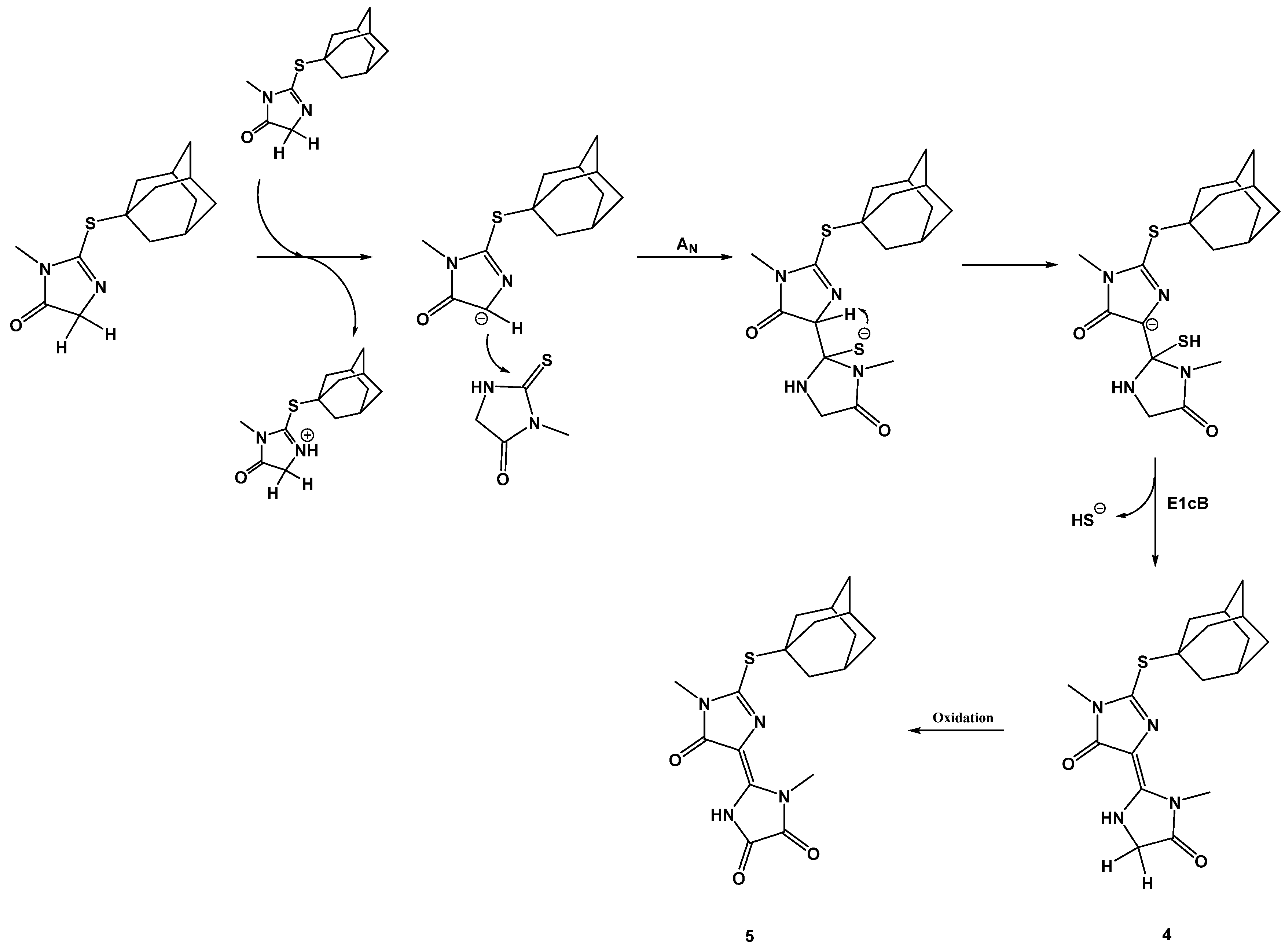 Molbank 2023 m1585 sch003