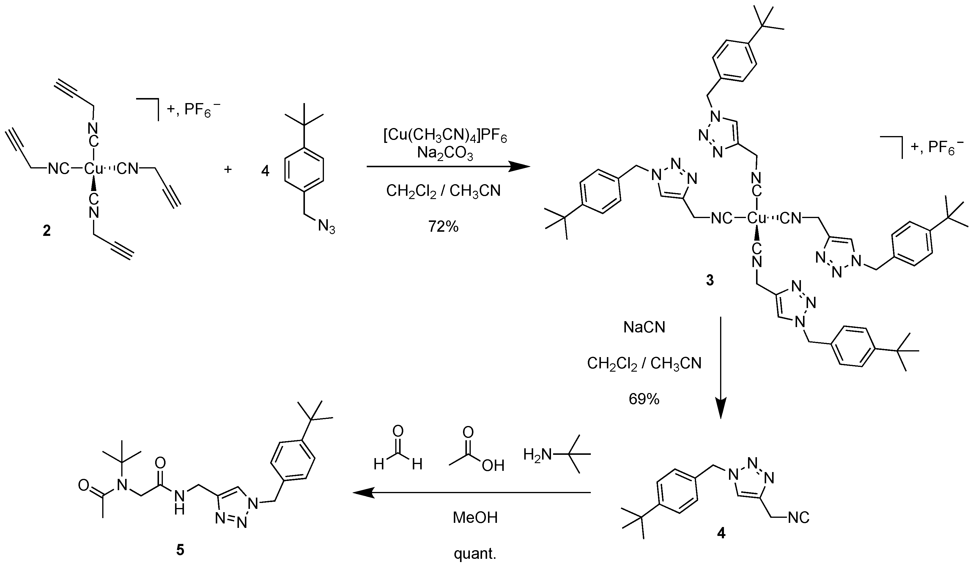Molbank 2023 m1599 sch003