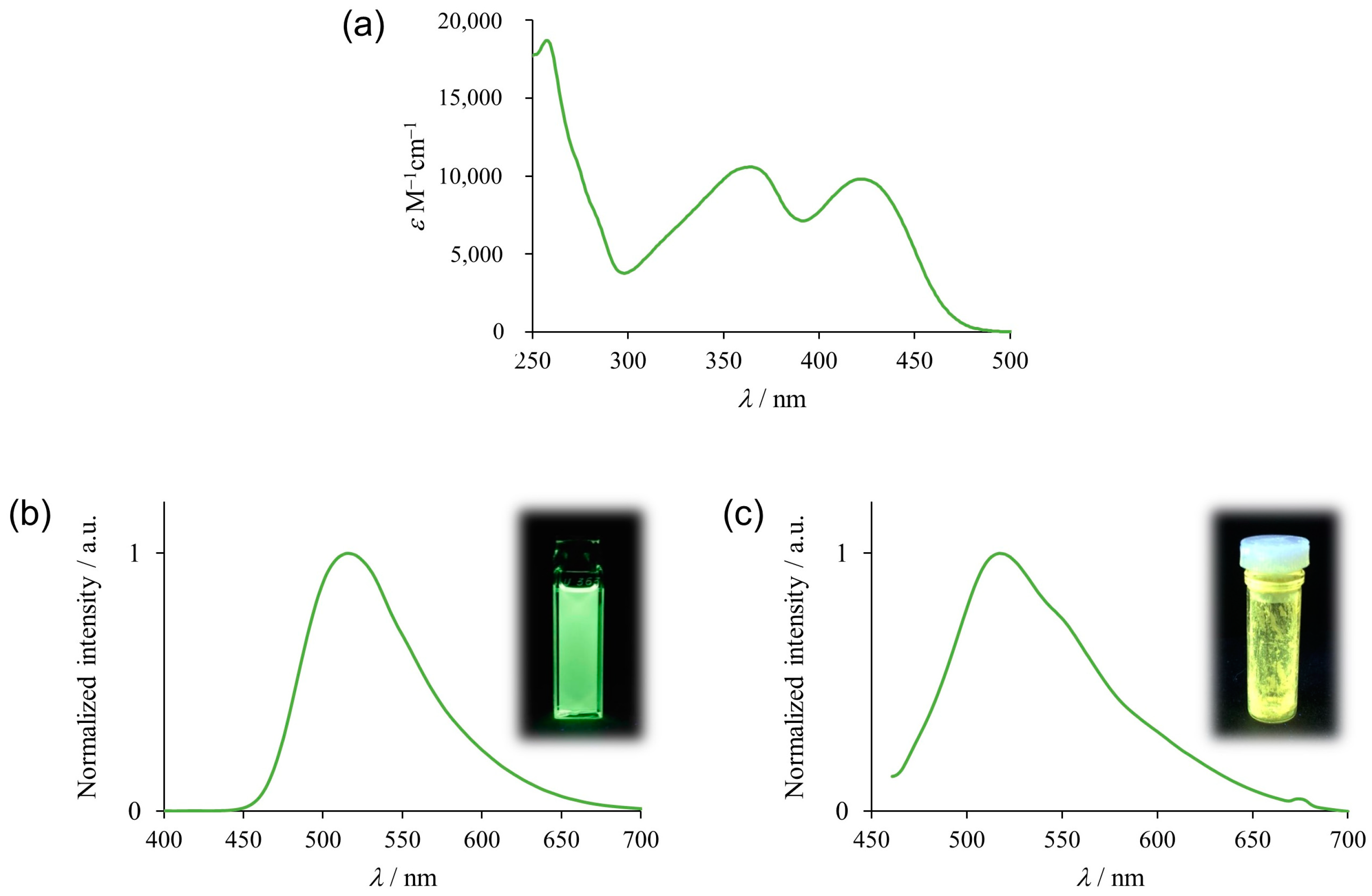 Molbank 2023 m1601 g003