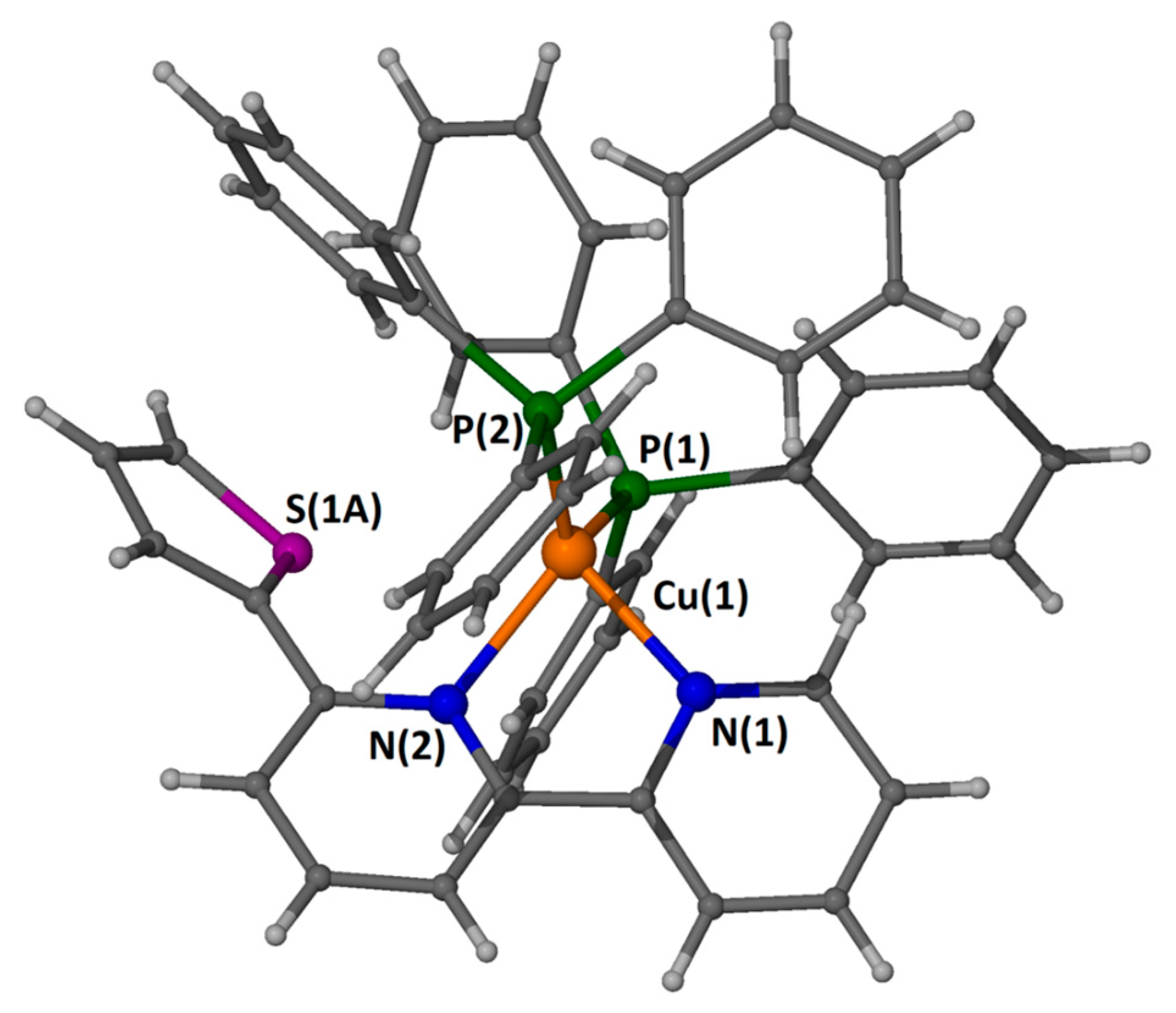 Molbank 2023 m1605 g005