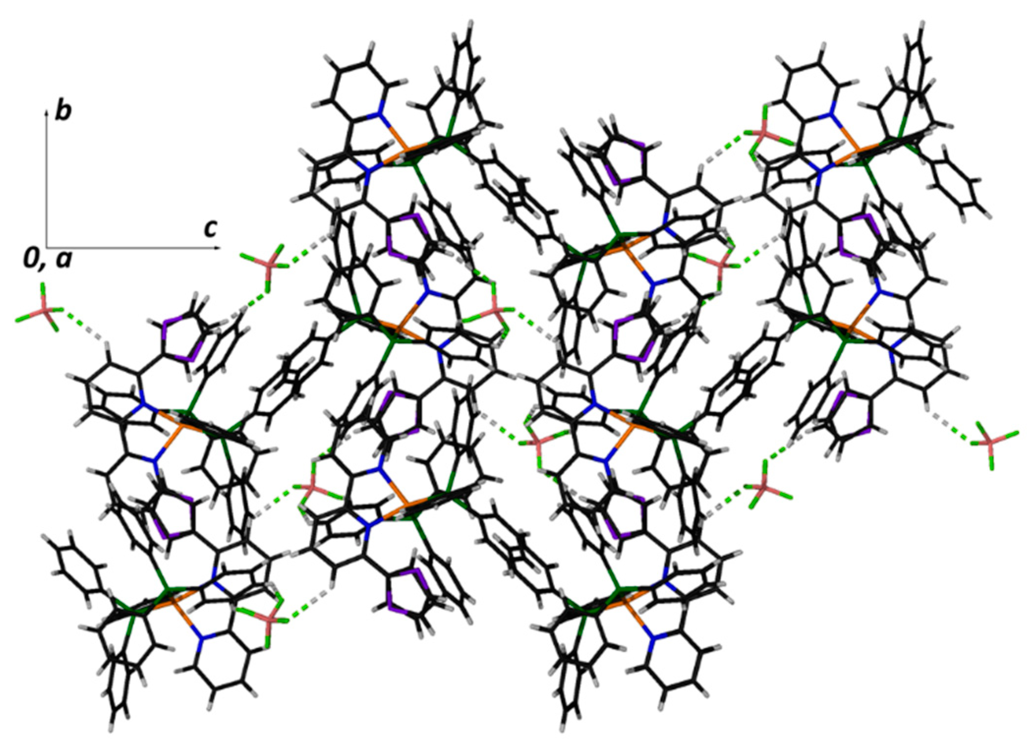 Molbank 2023 m1605 g006