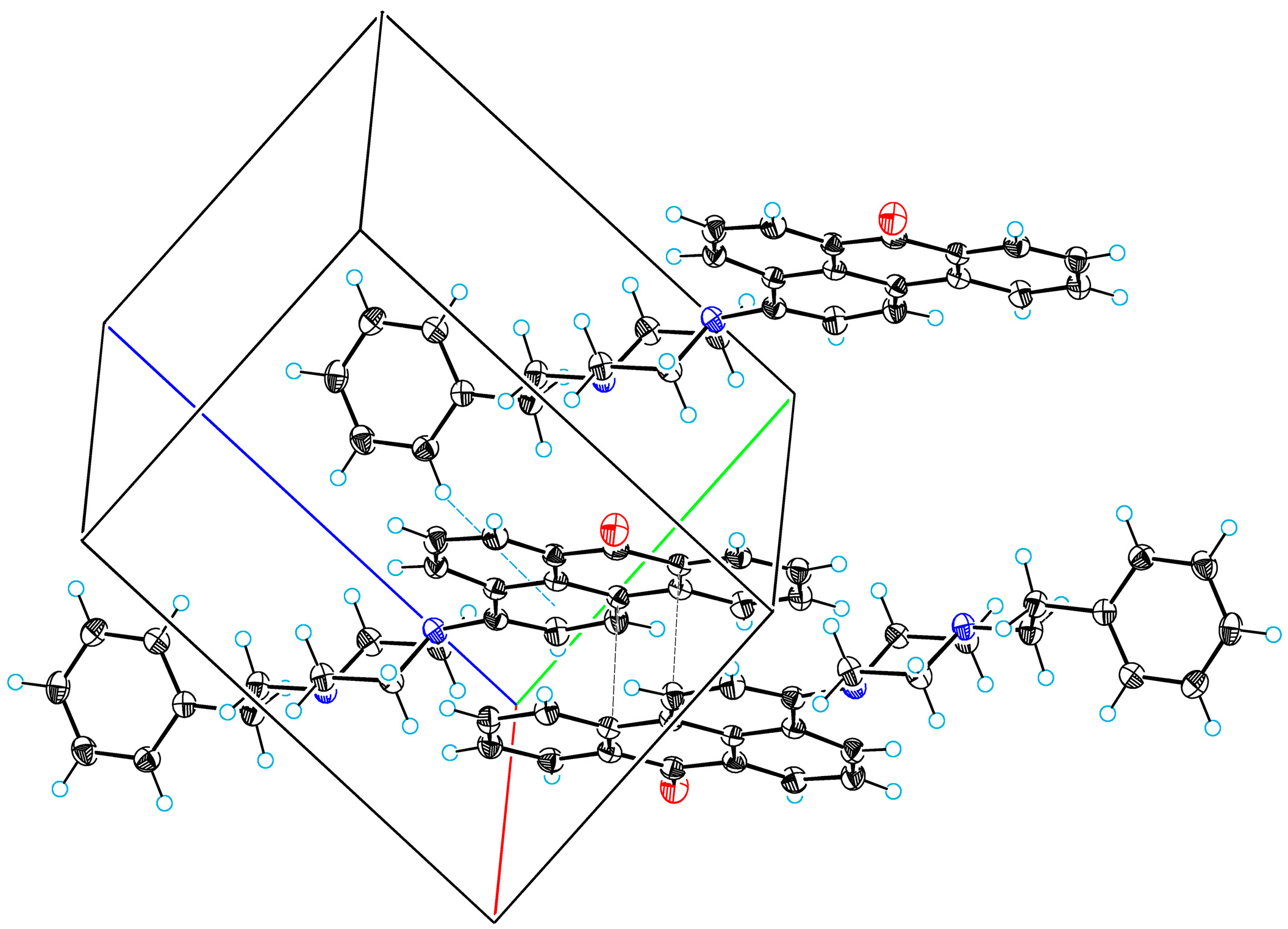 Molbank 2023 m1607 g002