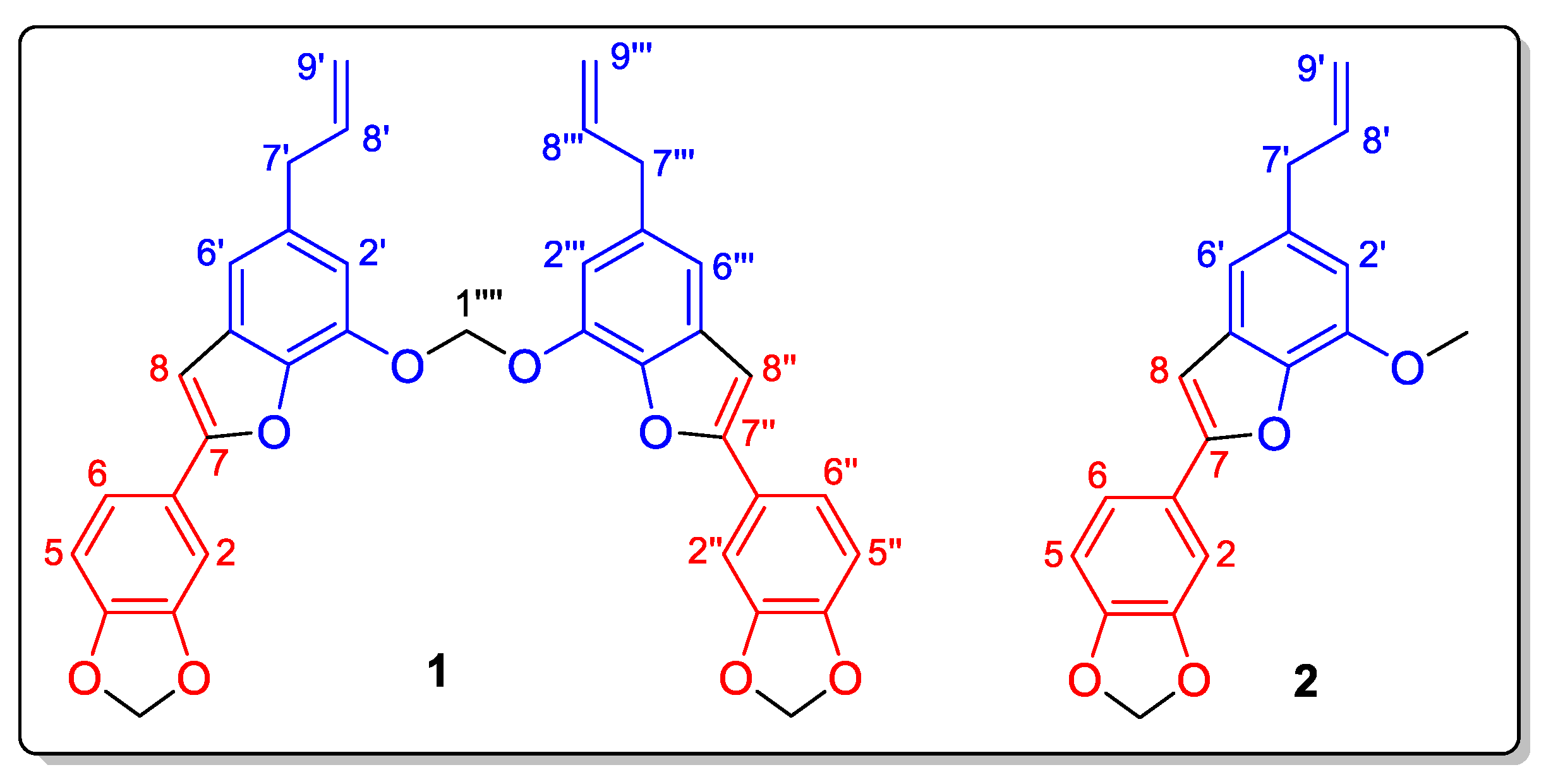 Molbank 2023 m1612 g001