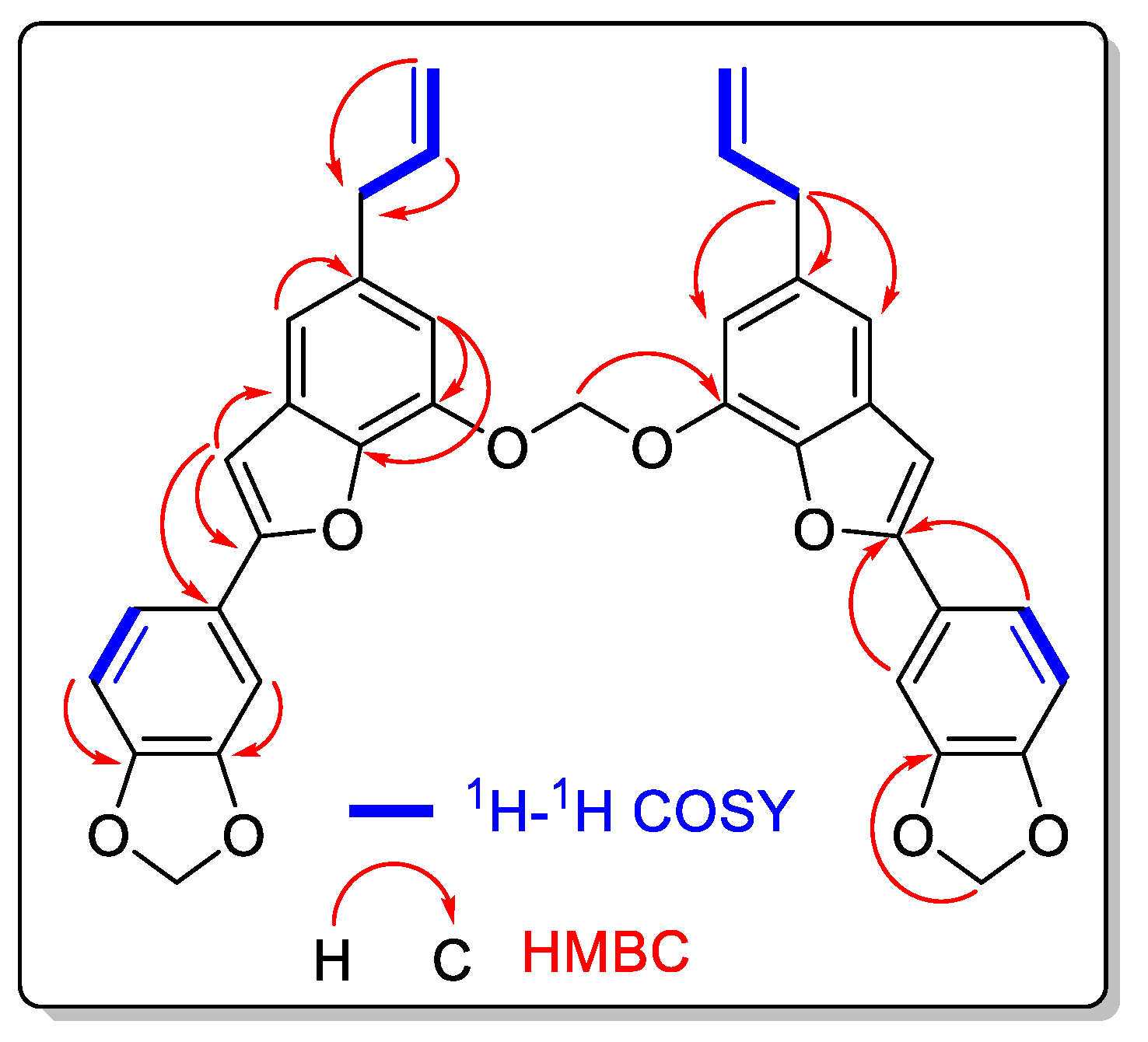 Molbank 2023 m1612 g002