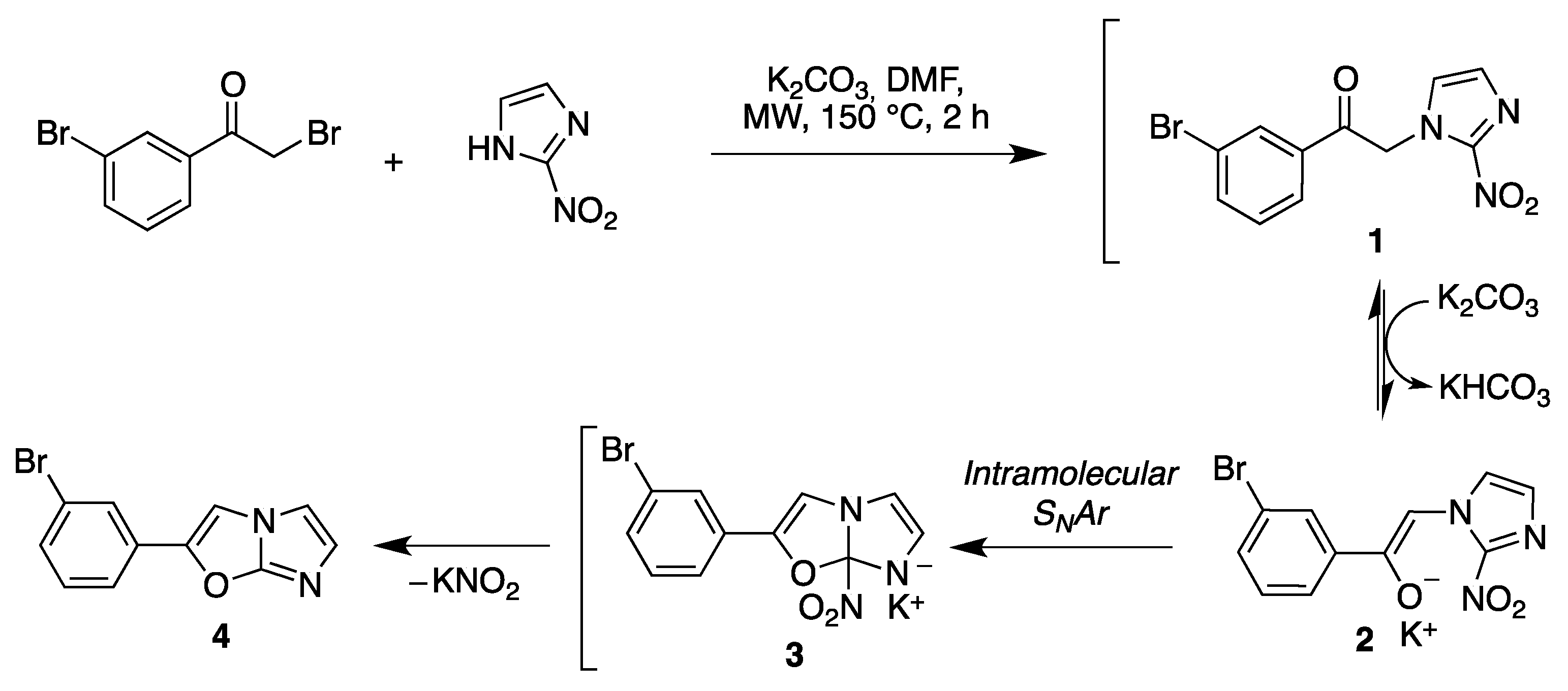 Molbank 2023 m1616 sch001
