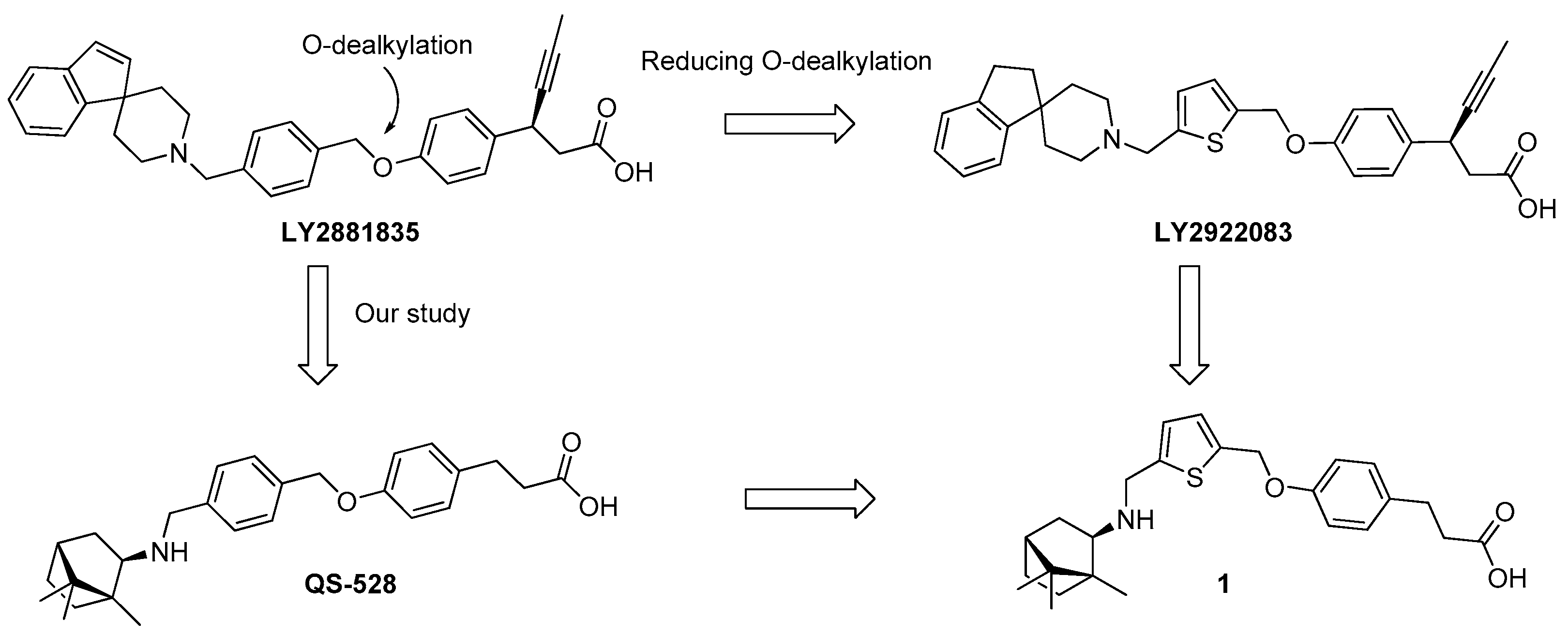 Molbank 2023 m1617 g001