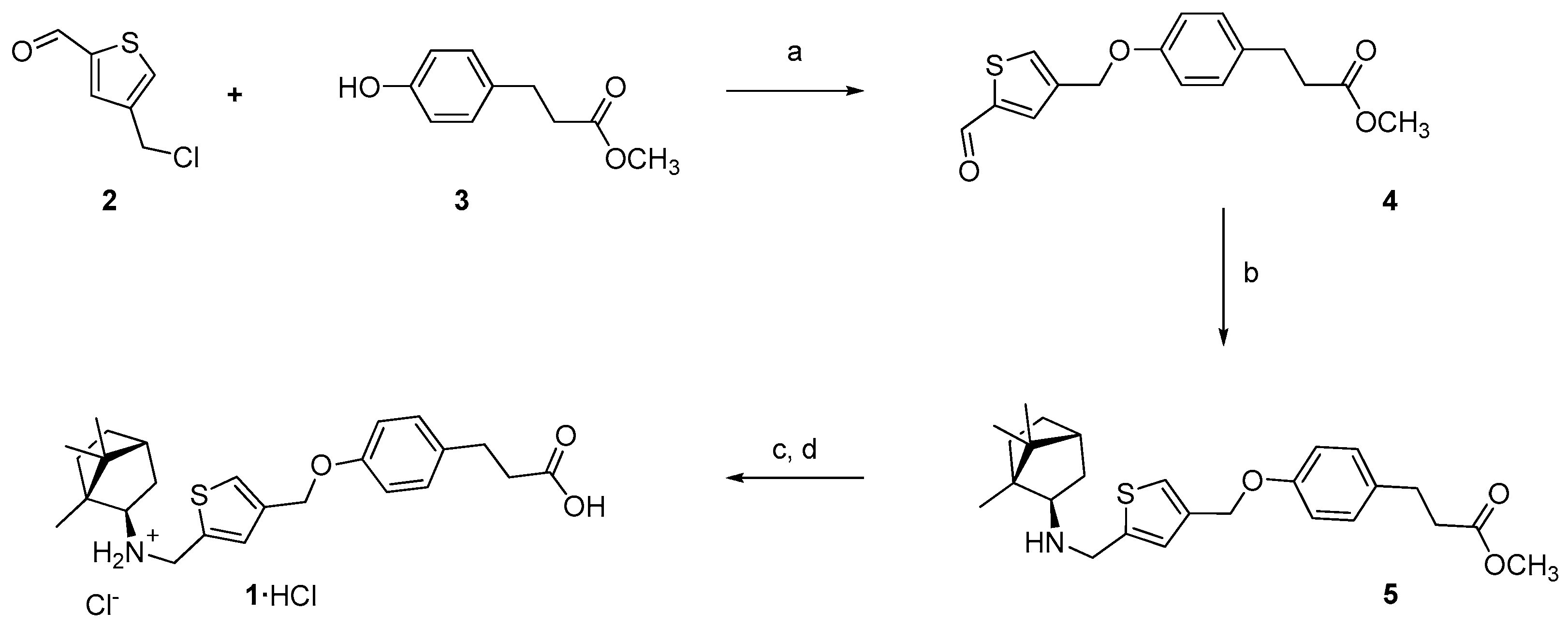 Molbank 2023 m1617 sch001