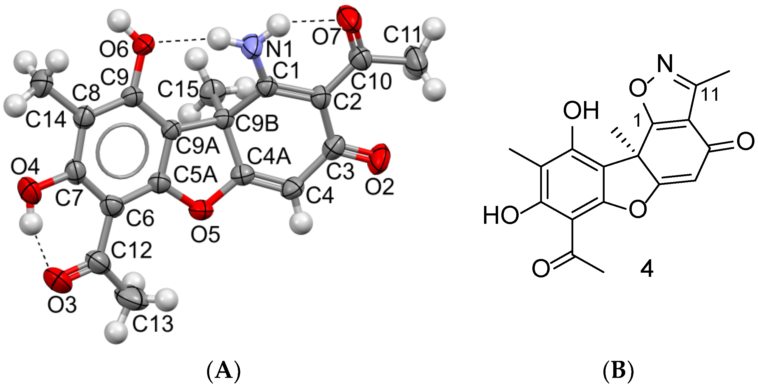 Molbank 2023 m1618 g001 Molbank 2023 m1618 g001