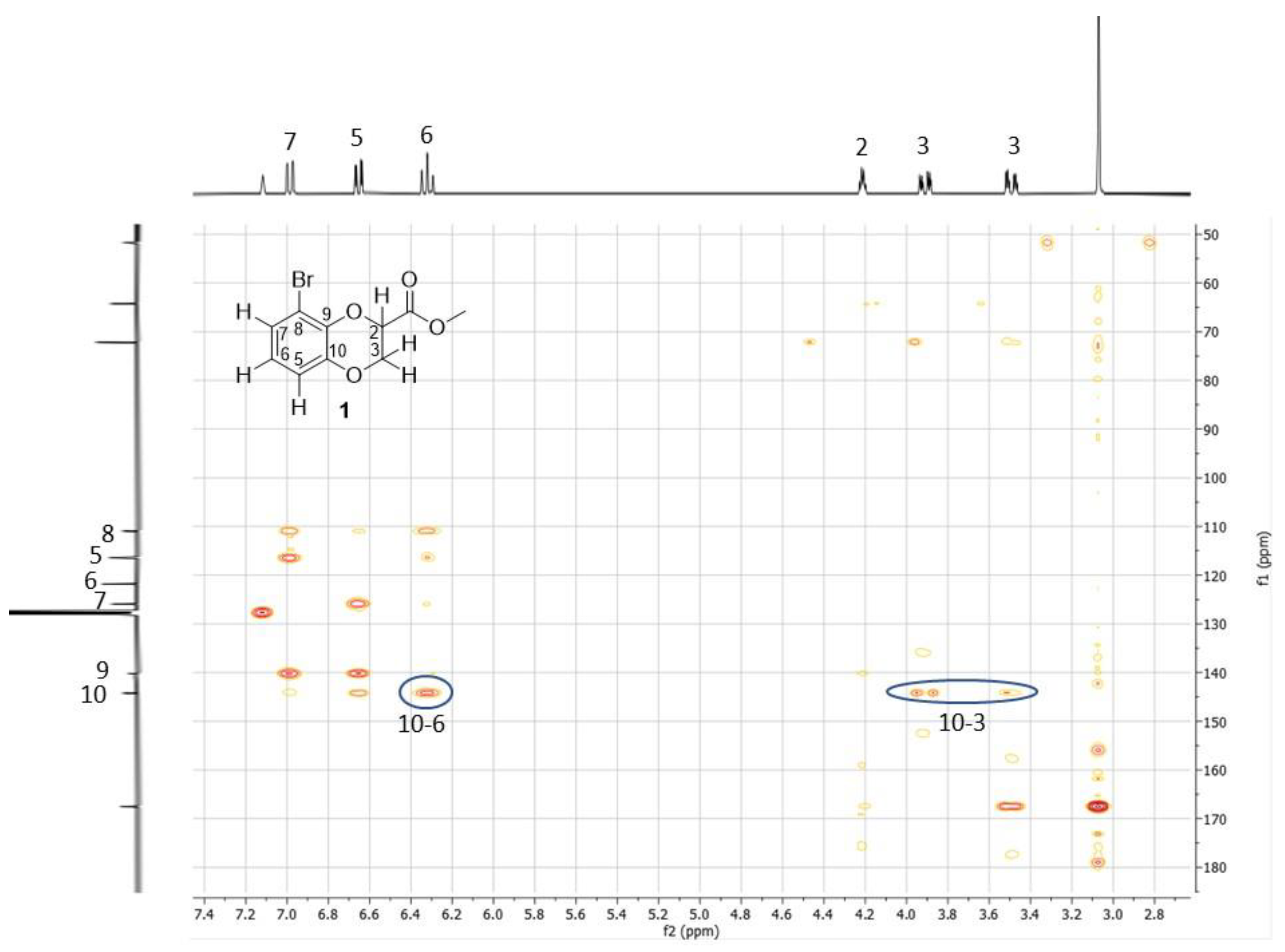 Molbank 2023 m1623 g005 Molbank 2023 m1623 g005