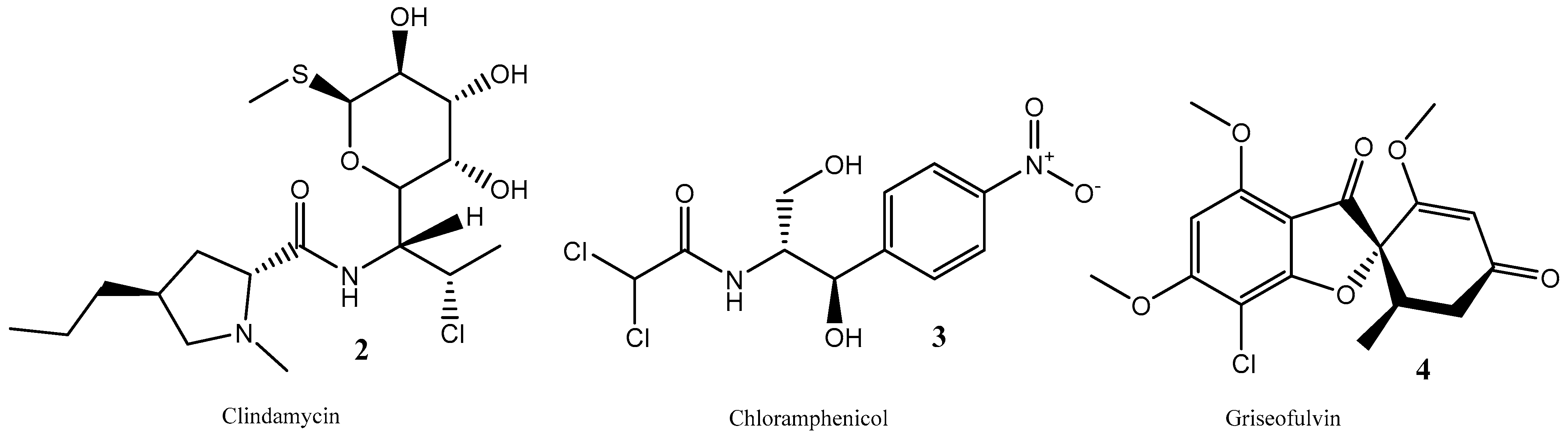 Molbank 2023 m1625 g002