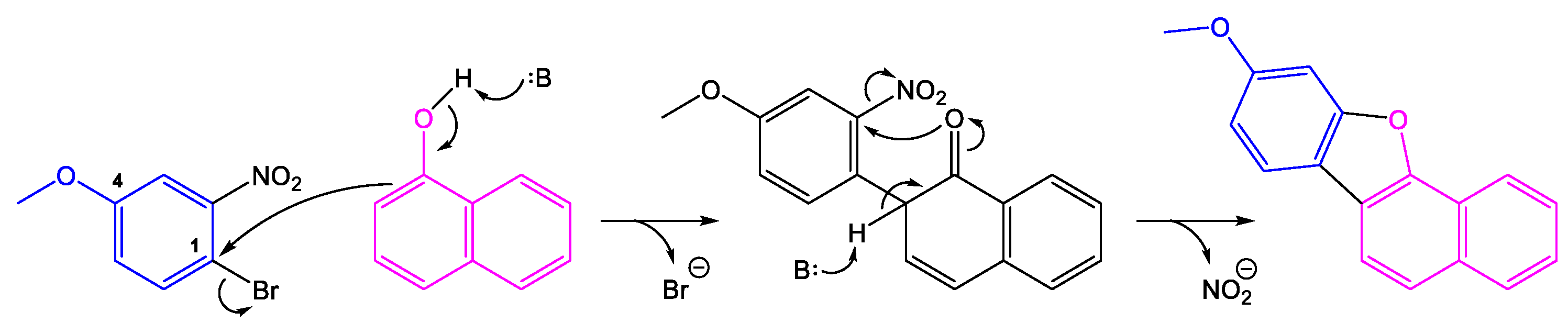 Molbank 2023 m1632 sch002