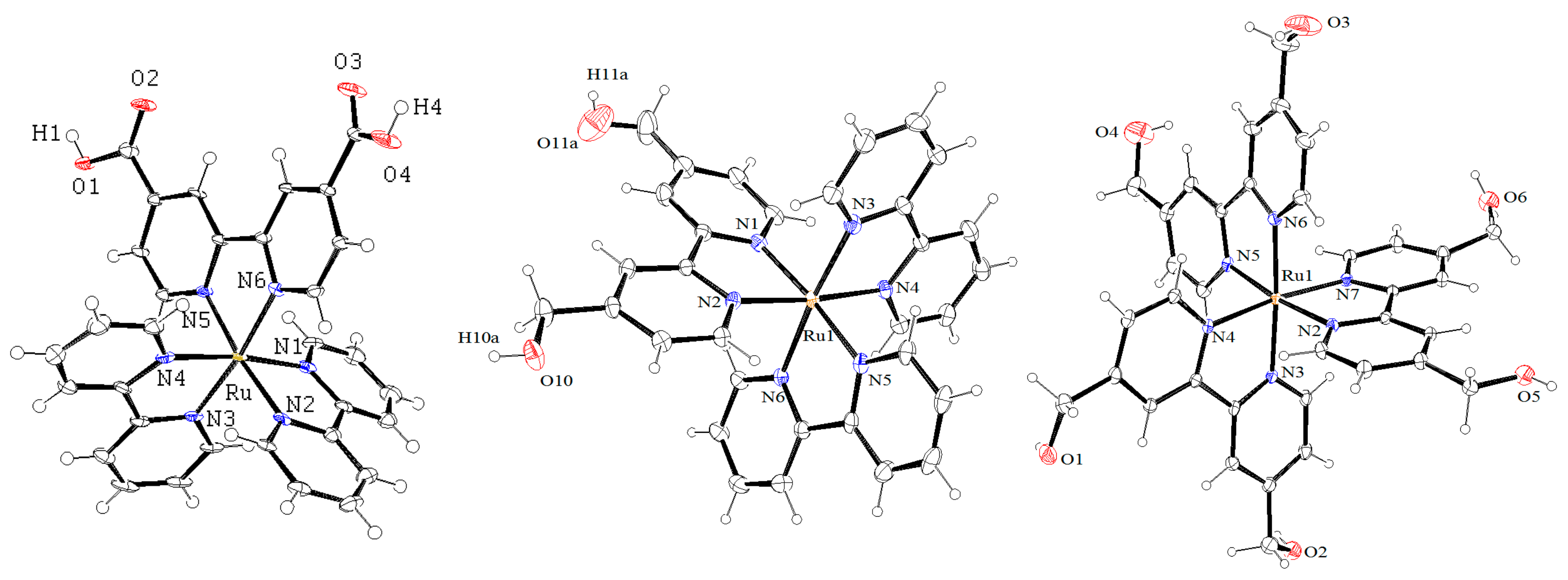 Molbank 2023 m1635 g001