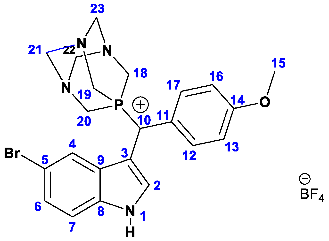 Molbank 2023 m1636 g003