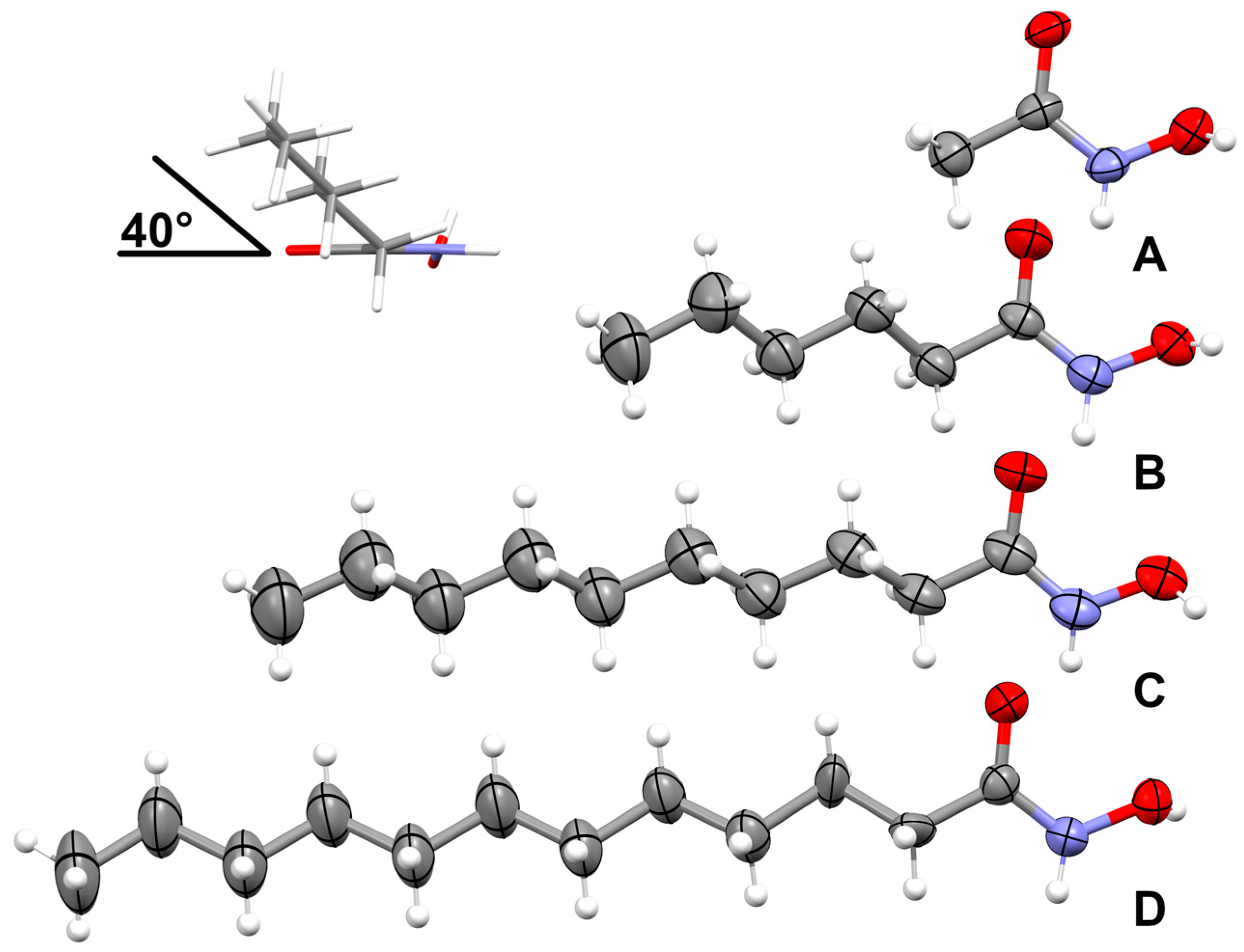 Molbank 2023 m1637 g003 Molbank 2023 m1637 g003