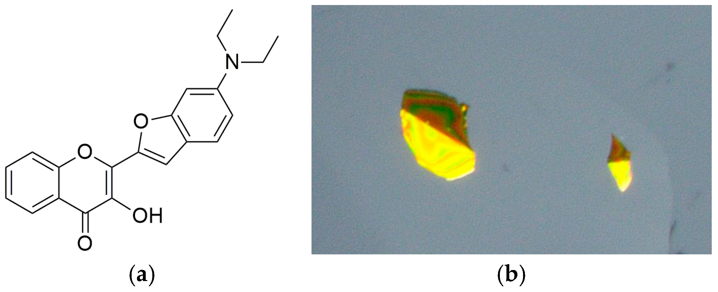 Molbank 2023 m1647 g003 Molbank 2023 m1647 g003