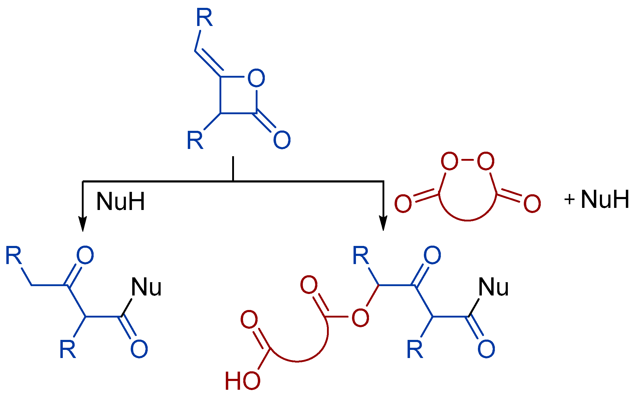 Molbank 2023 m1651 sch001 Molbank 2023 m1651 sch001
