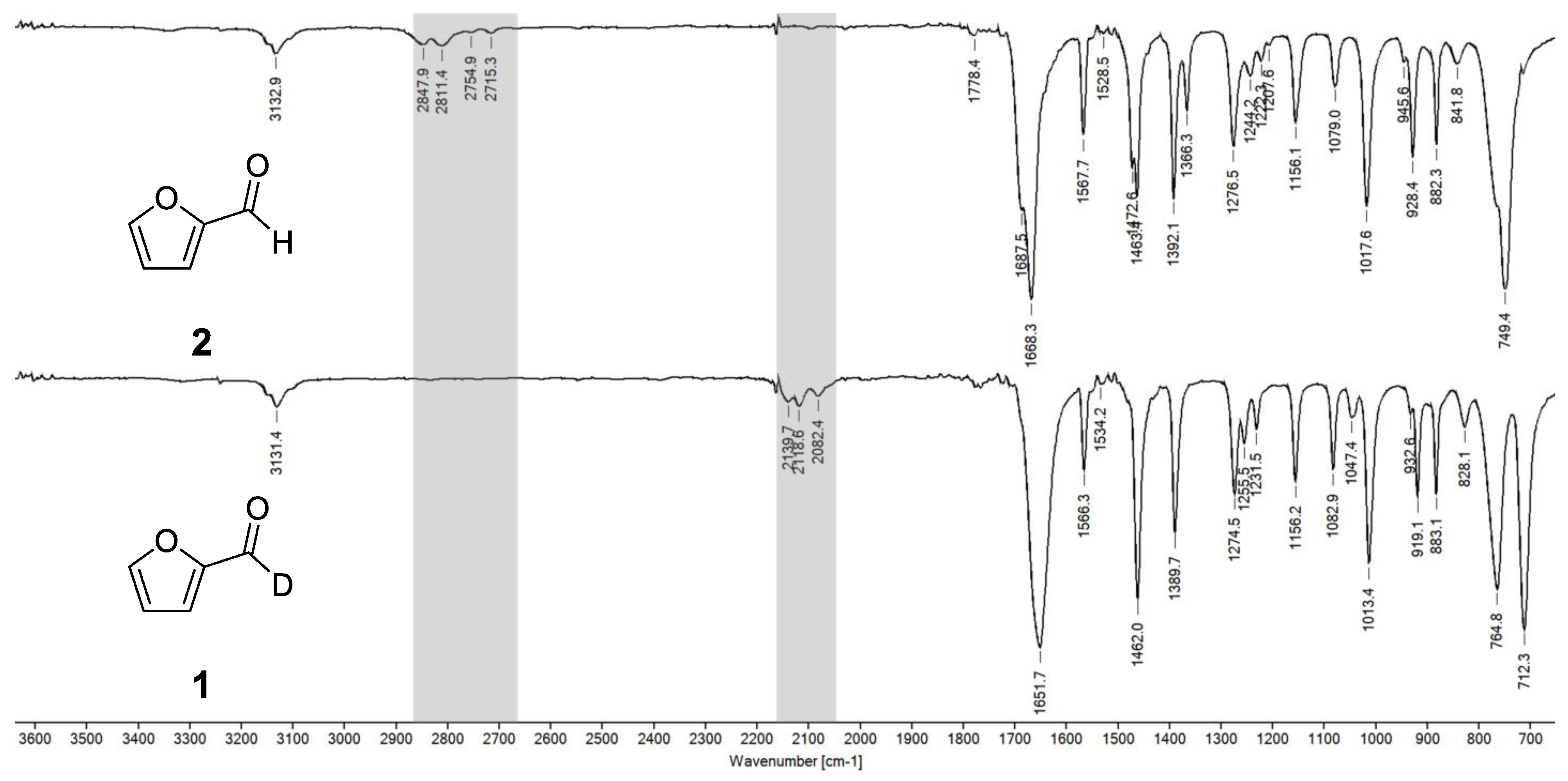 Molbank 2023 m1654 g004 Molbank 2023 m1654 g004