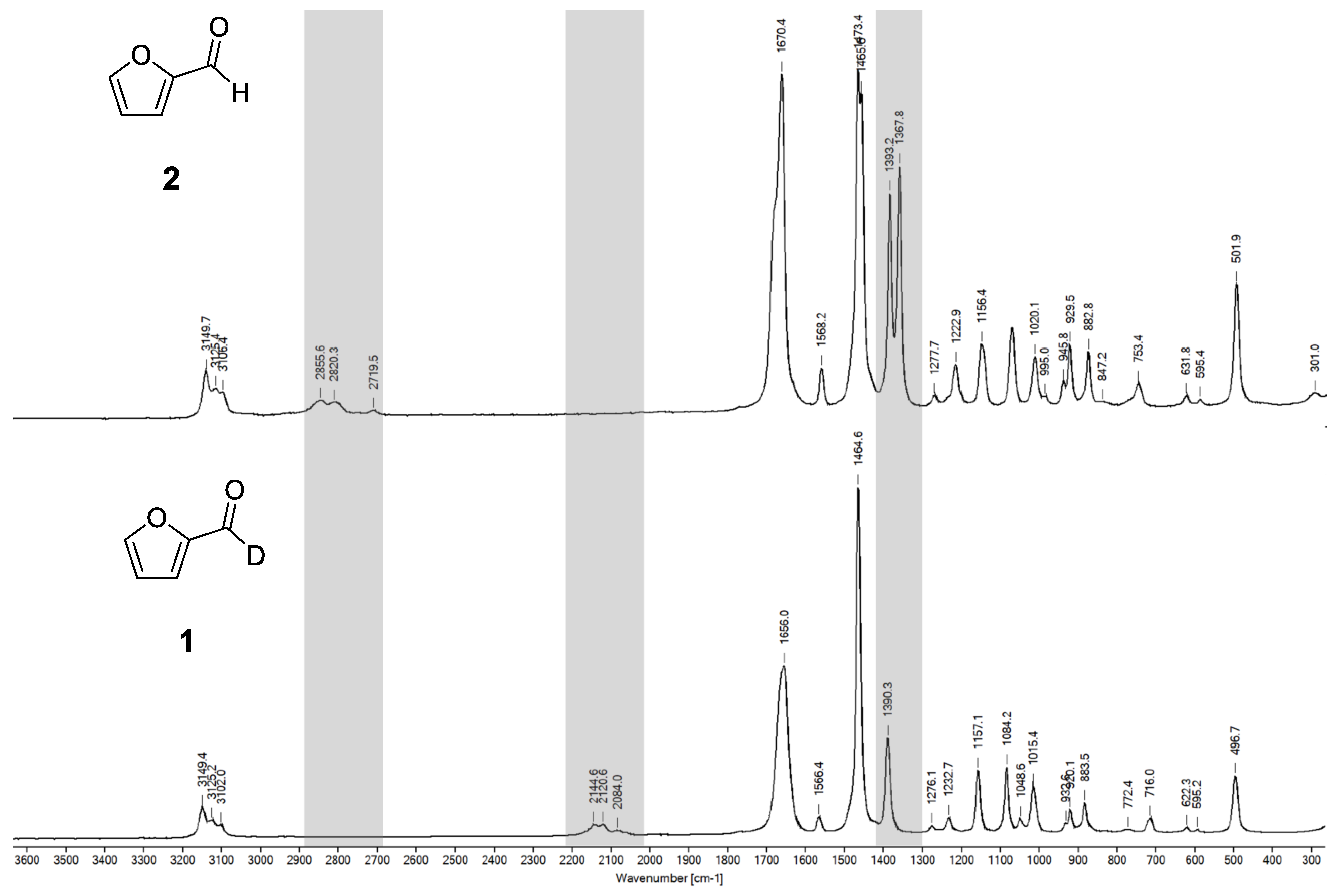 Molbank 2023 m1654 g006 Molbank 2023 m1654 g006