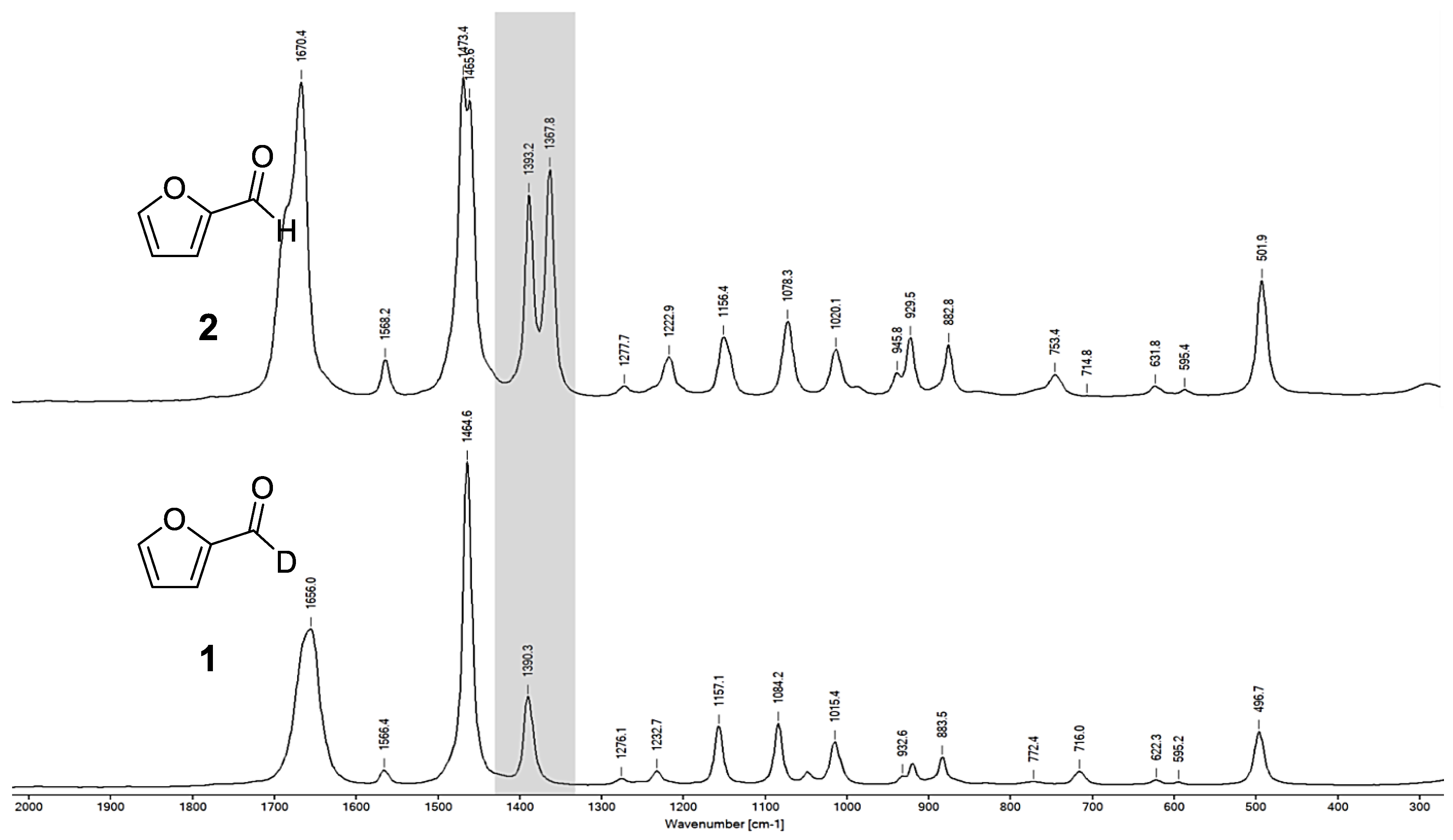 Molbank 2023 m1654 g007 Molbank 2023 m1654 g007