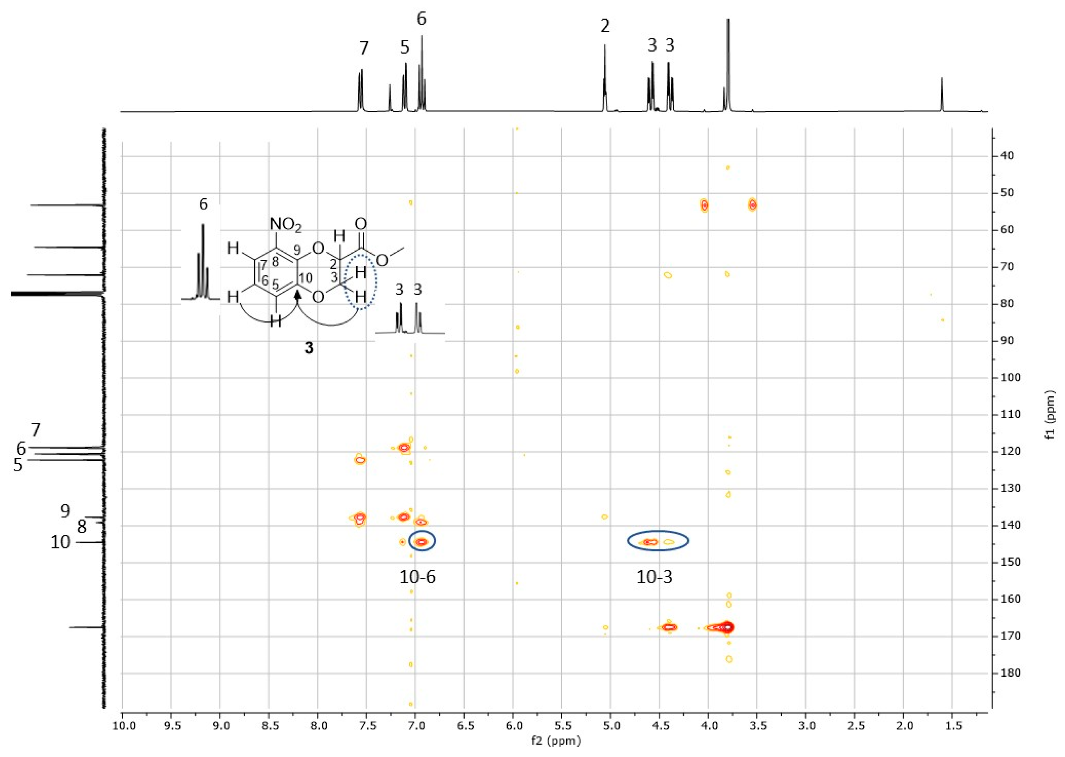 Molbank 2023 m1661 g004