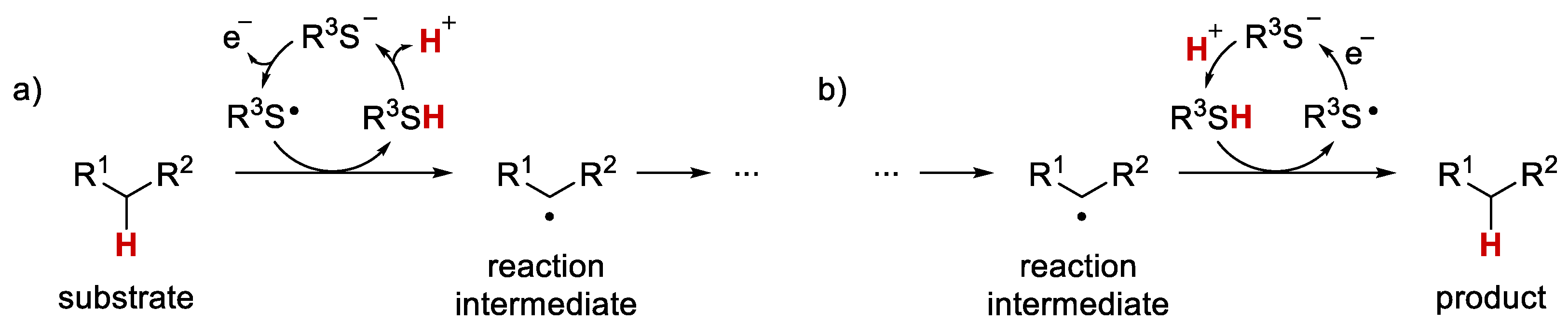 Molbank 2023 m1670 sch002 Molbank 2023 m1670 sch002