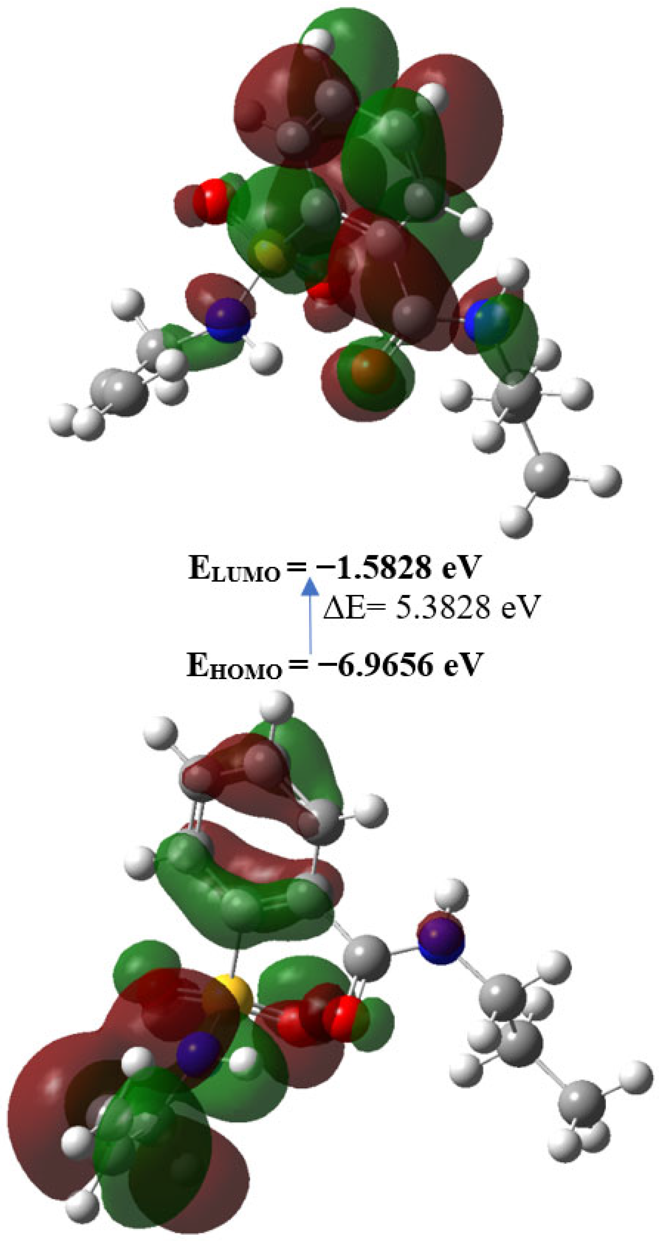Molbank 2023 m1678 g007 Molbank 2023 m1678 g007