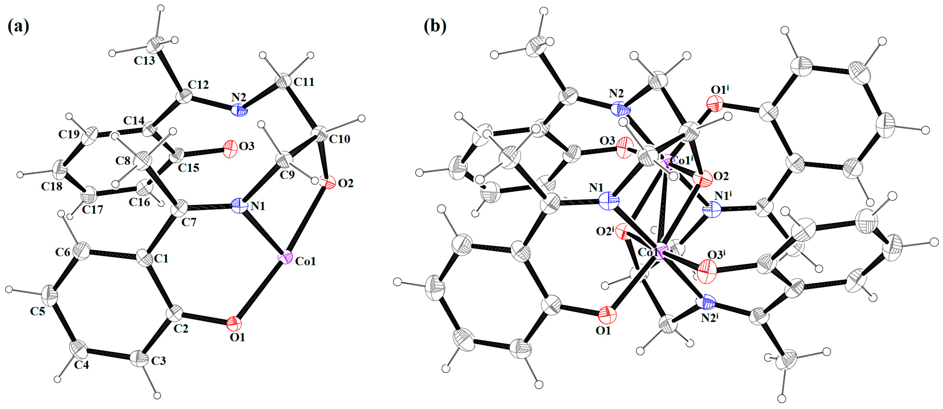 Molbank 2023 m1690 g002