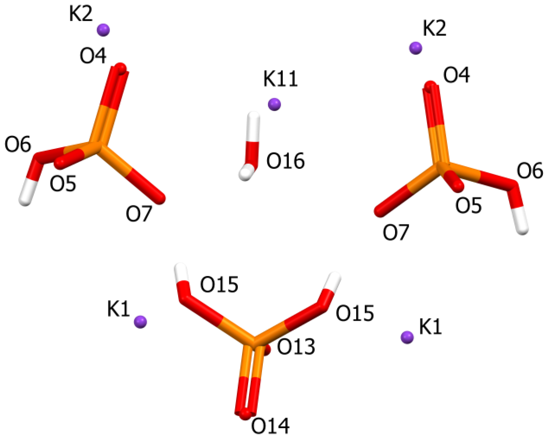 Molbank 2023 m1711 g001