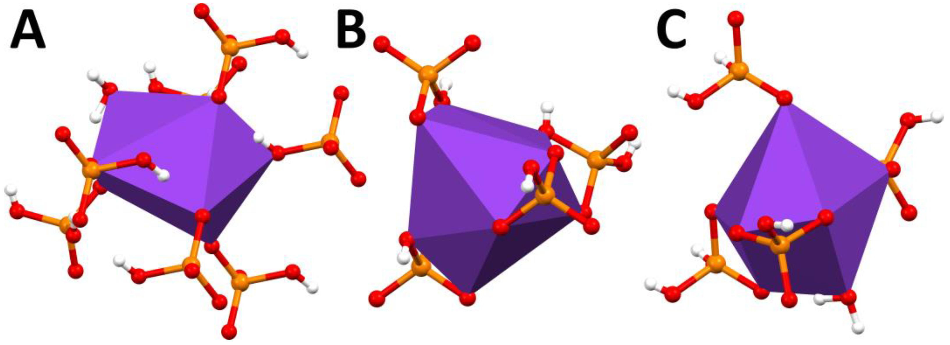 Molbank 2023 m1711 g002
