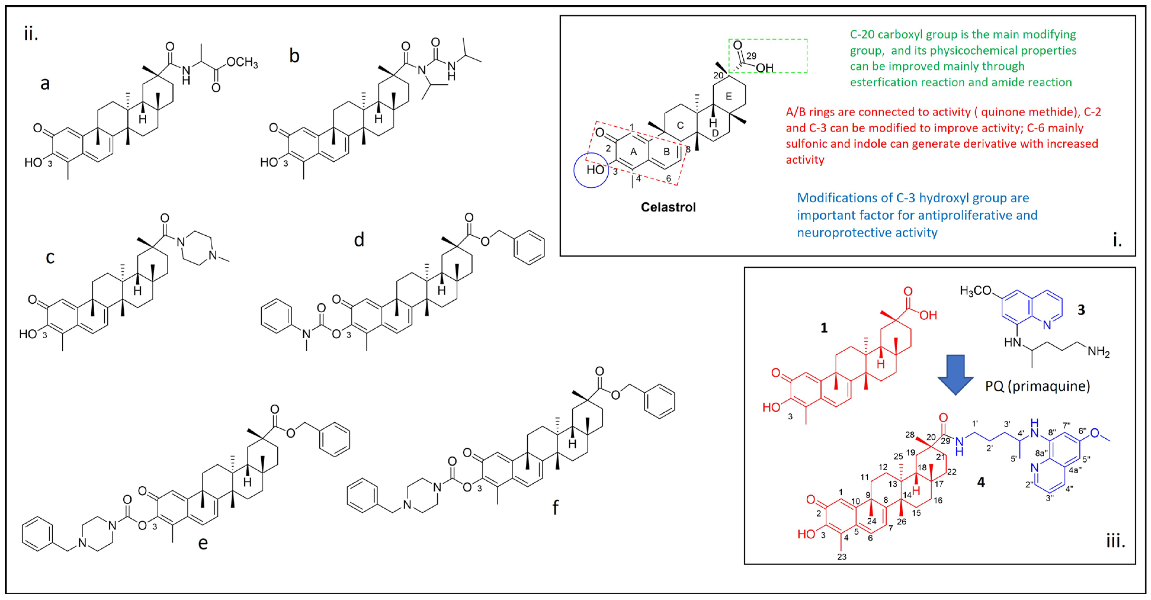 Molbank 2023 m1716 g001